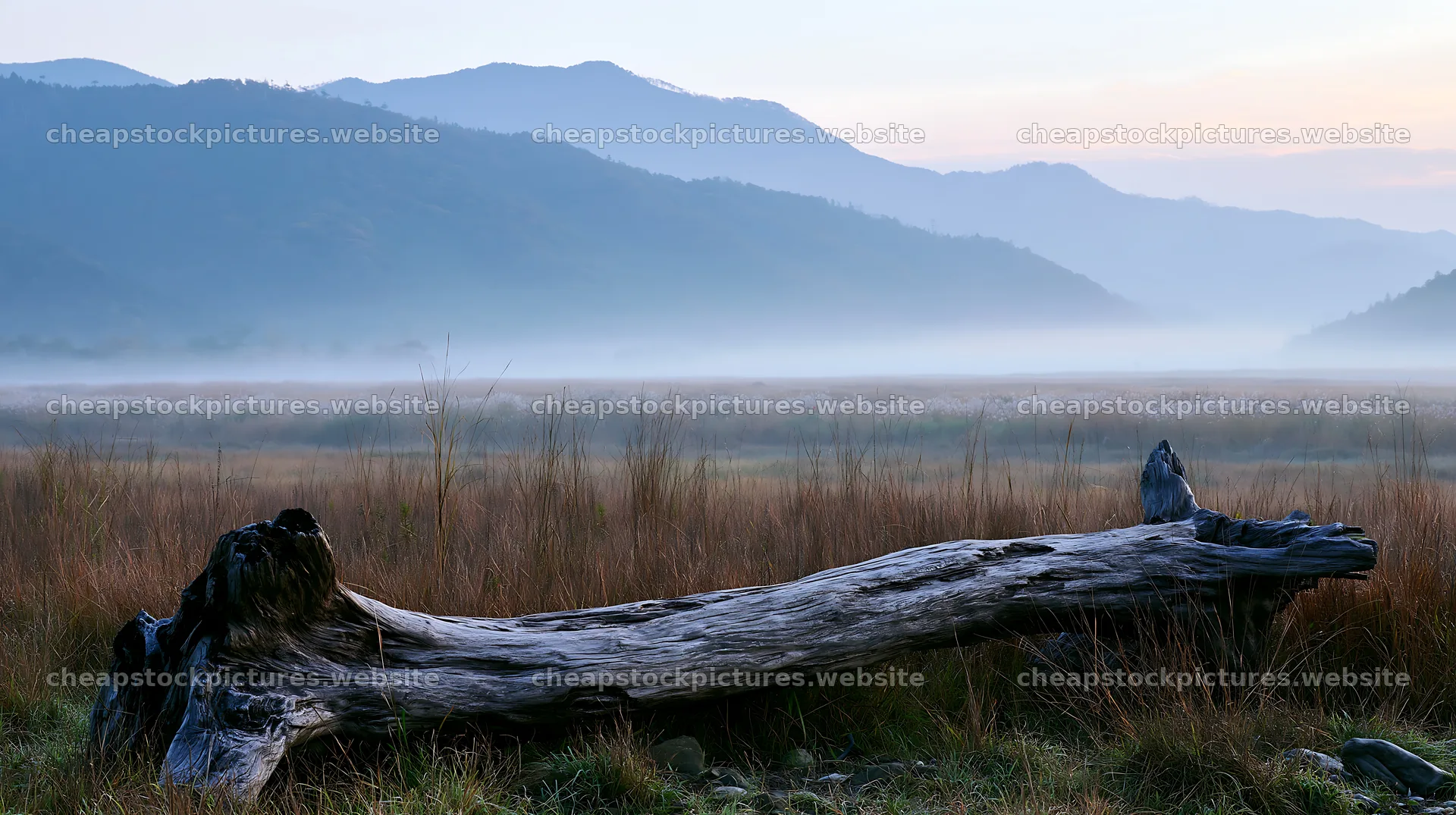 Wakayama autumn meadow weathered wood foreground – stock pictures 10608x5938