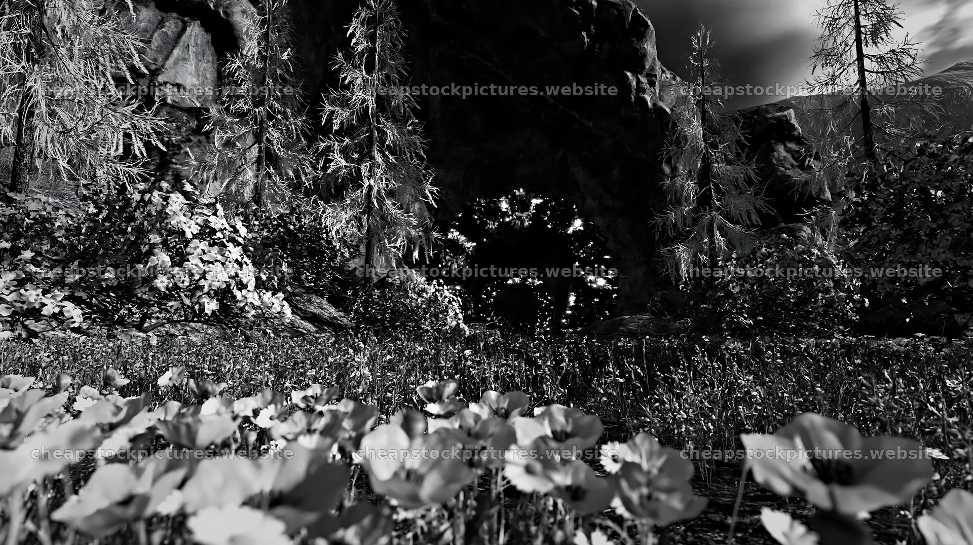 Christmas wreaths in meadow by cave – stock pictures 10608x5938