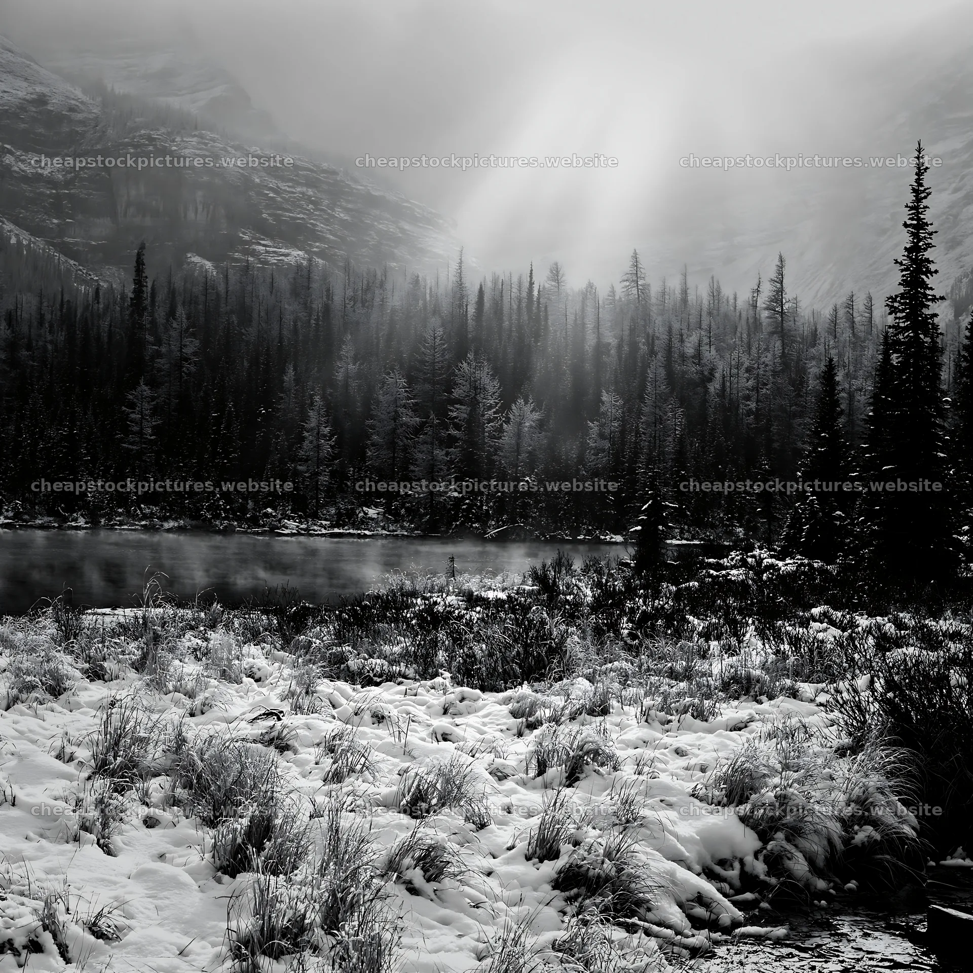 Snowy lakeside meadow with trees and fog in the background – stock pictures 7938x7938