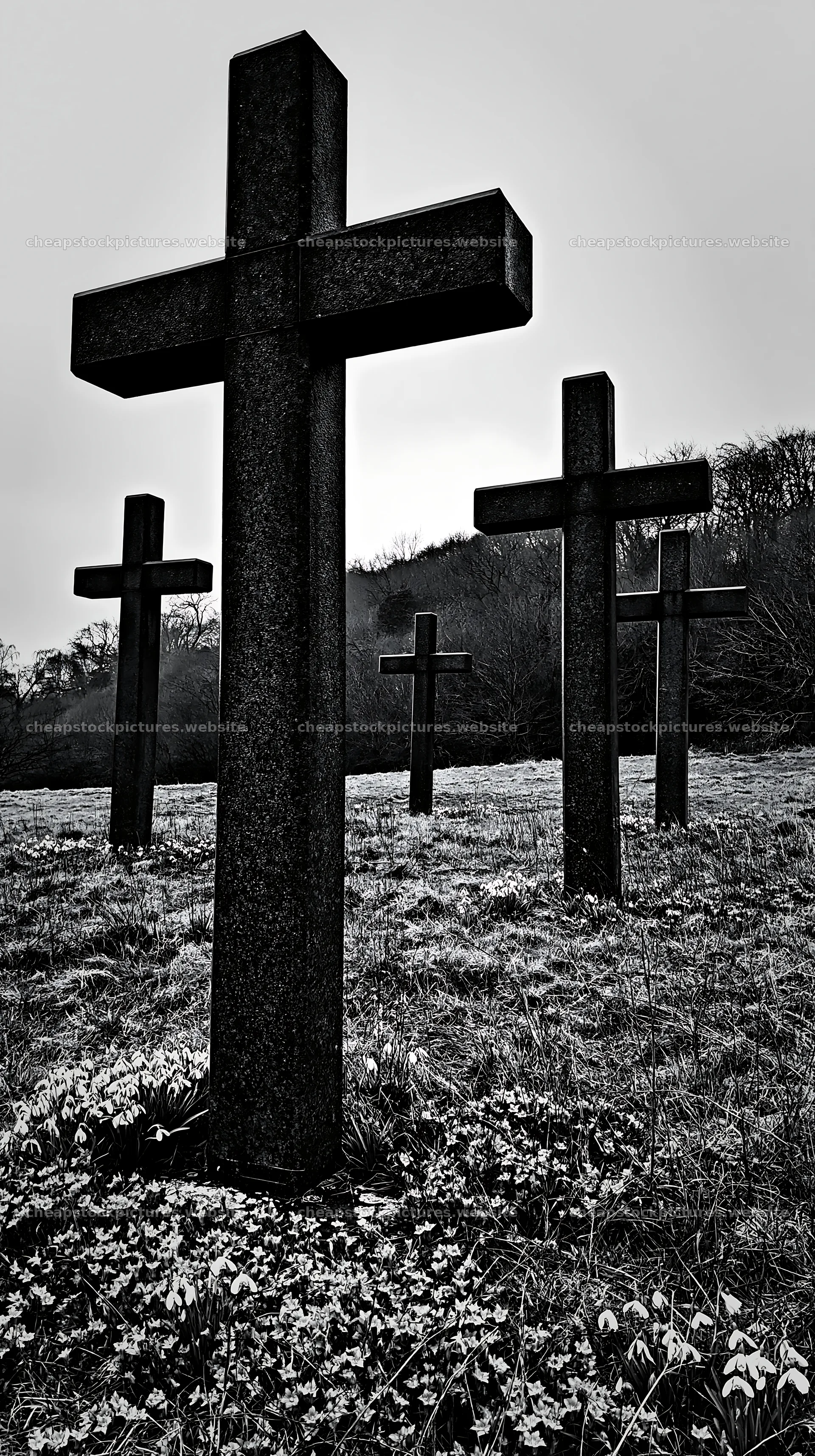 Multiple Christian crosses located in a Christmas meadow – stock pictures 5938x10608