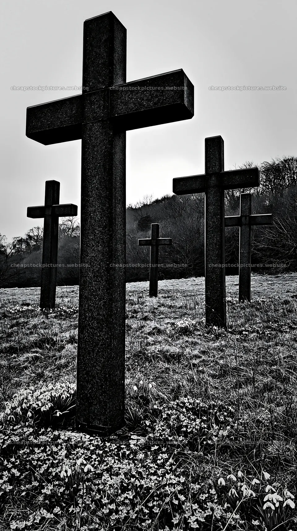 Multiple Christian crosses located in a Christmas meadow – stock pictures 5938x10608