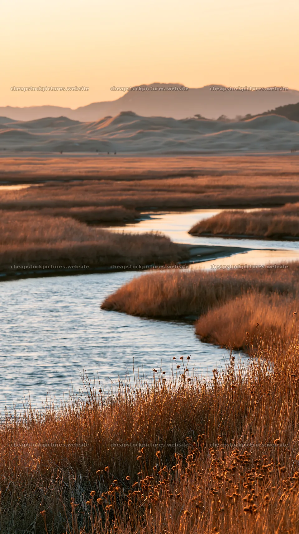 Winding river through Tottori meadow with dune grasses – stock pictures 5938x10608