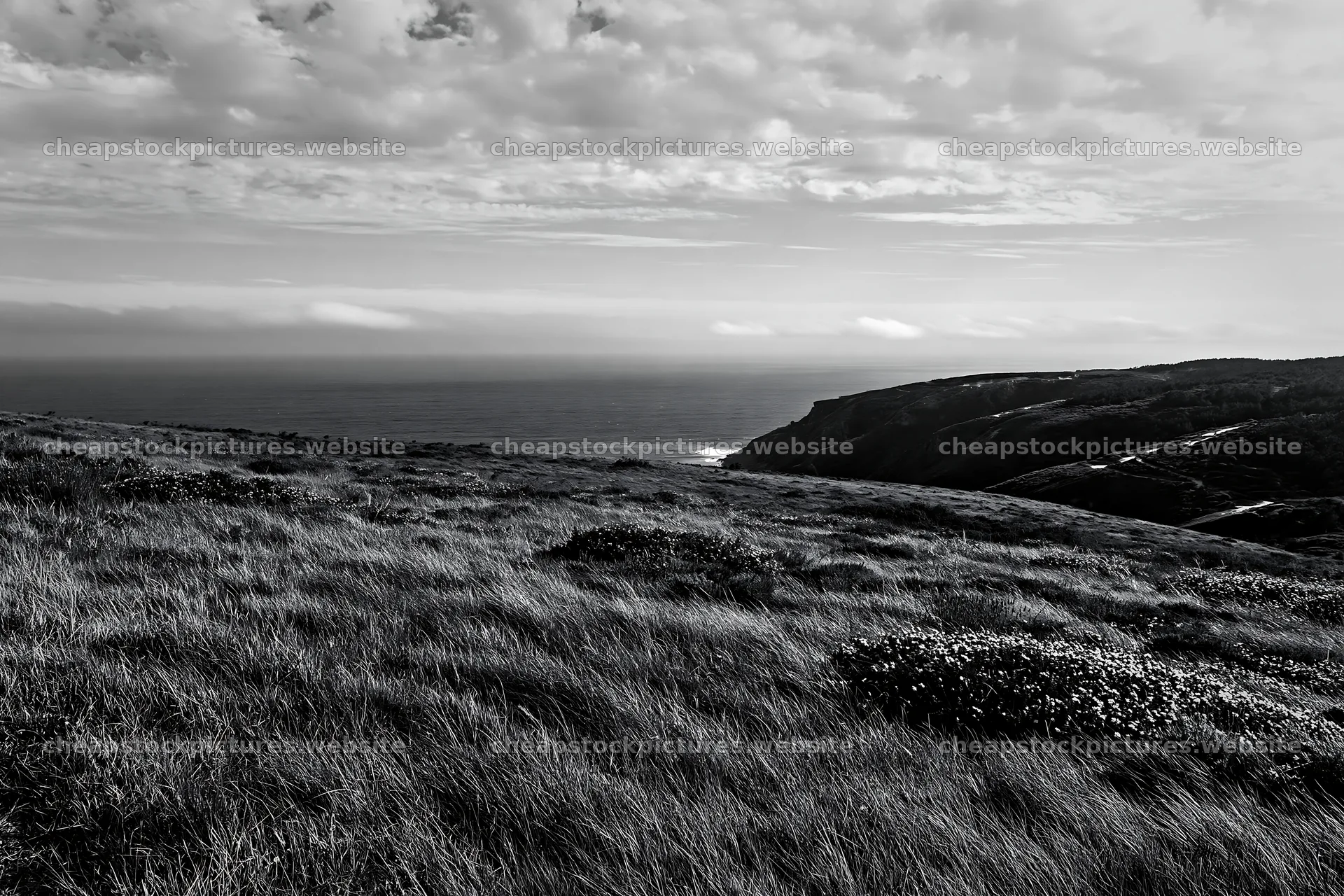 Meadow landscape above Atlantic coast in Portugal – stock pictures 9722x6480
