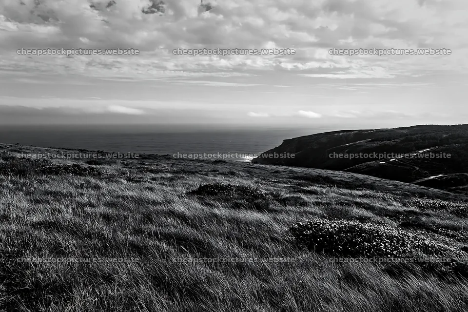 Meadow landscape above Atlantic coast in Portugal – stock pictures 9722x6480
