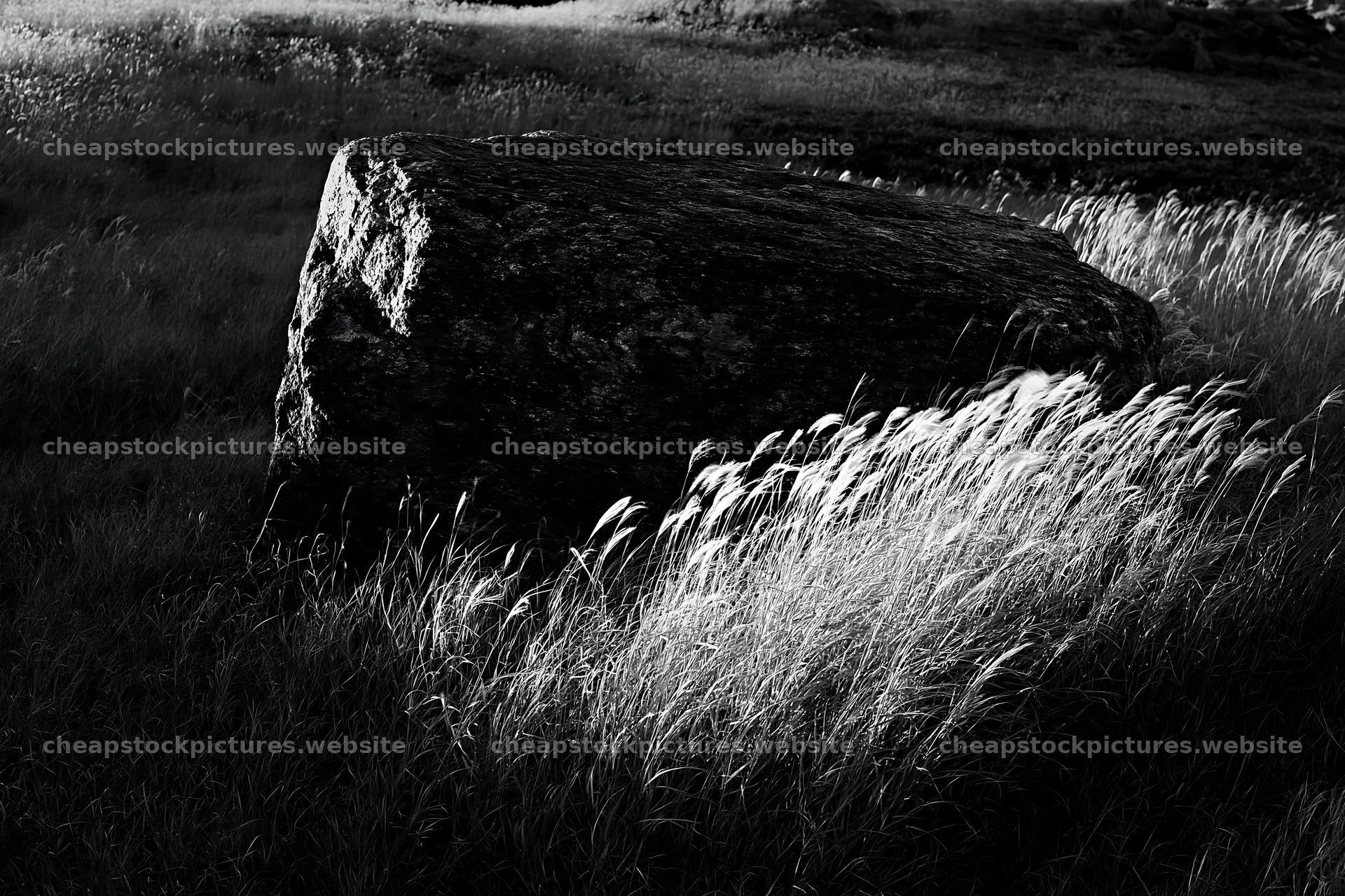 Nagano drought resilient meadow granite boulder in tall grass – stock pictures 9722x6480