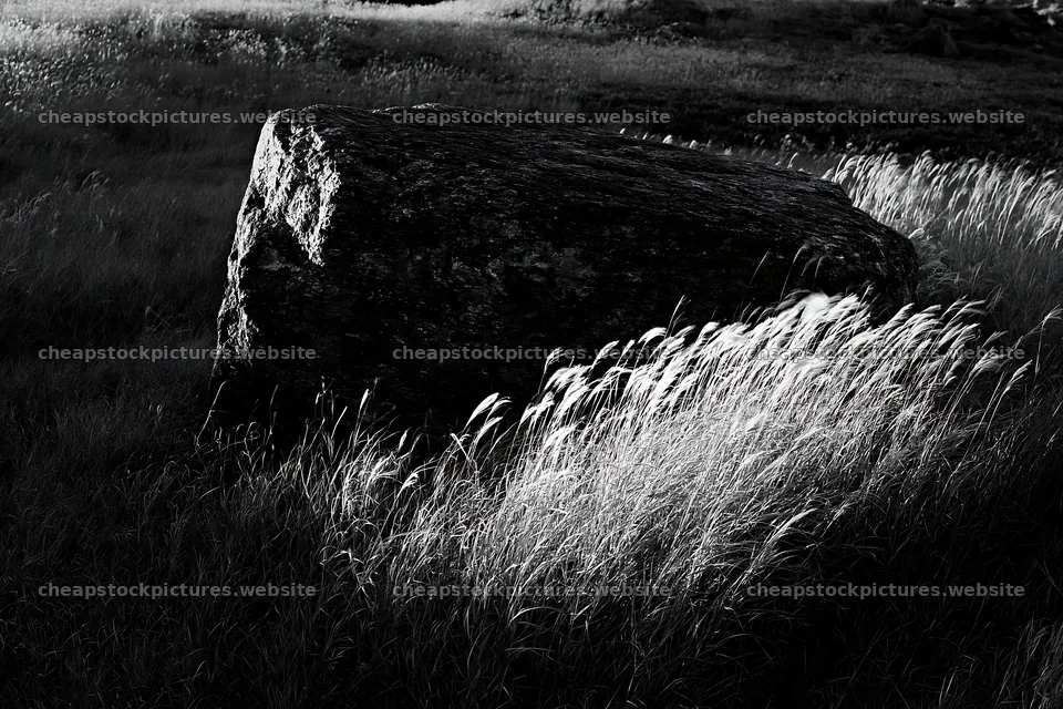 Nagano drought resilient meadow granite boulder in tall grass – stock pictures 9722x6480