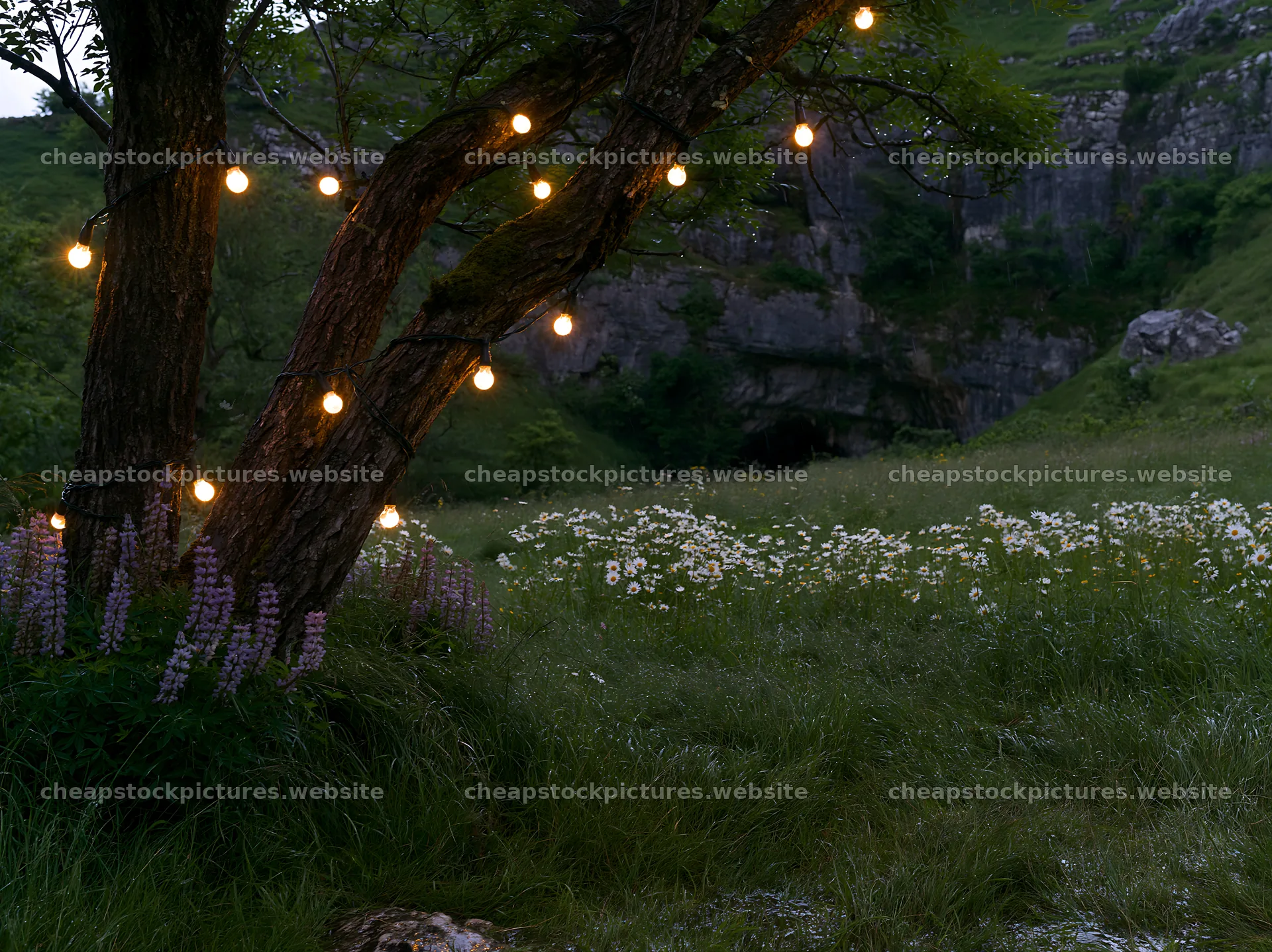 Christmas lights in meadow near cave – stock pictures 9174x6866