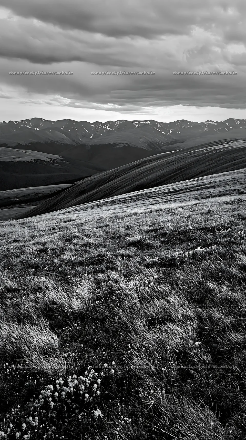 Climate-resilient meadow with mountain view during sunset – stock pictures 5938x10608