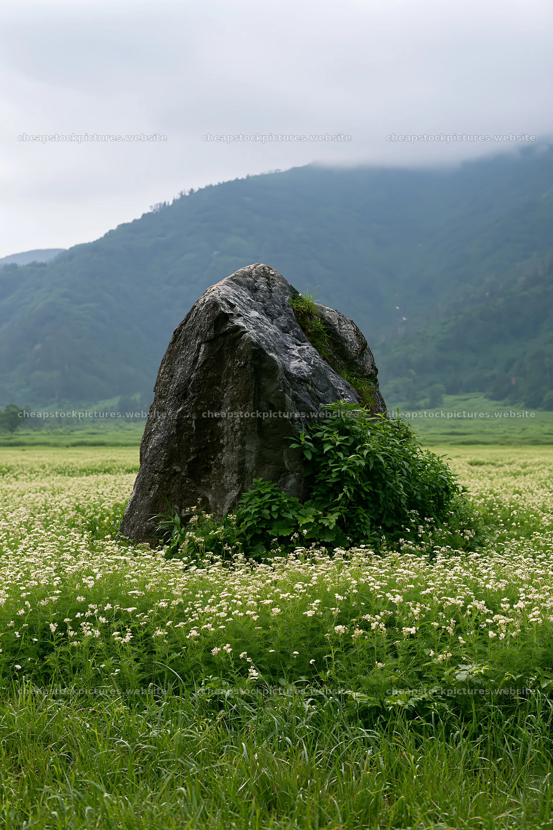 Granite boulder in a meadow with green grass in Nagano – stock pictures 6480x9722