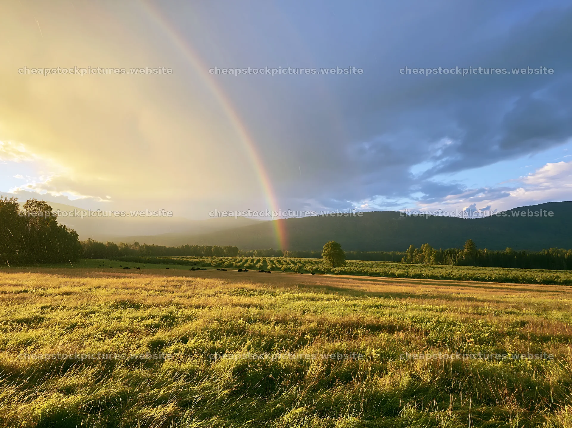 Valley apple meadow under rainbow and cloudy sky – stock pictures 9174x6866