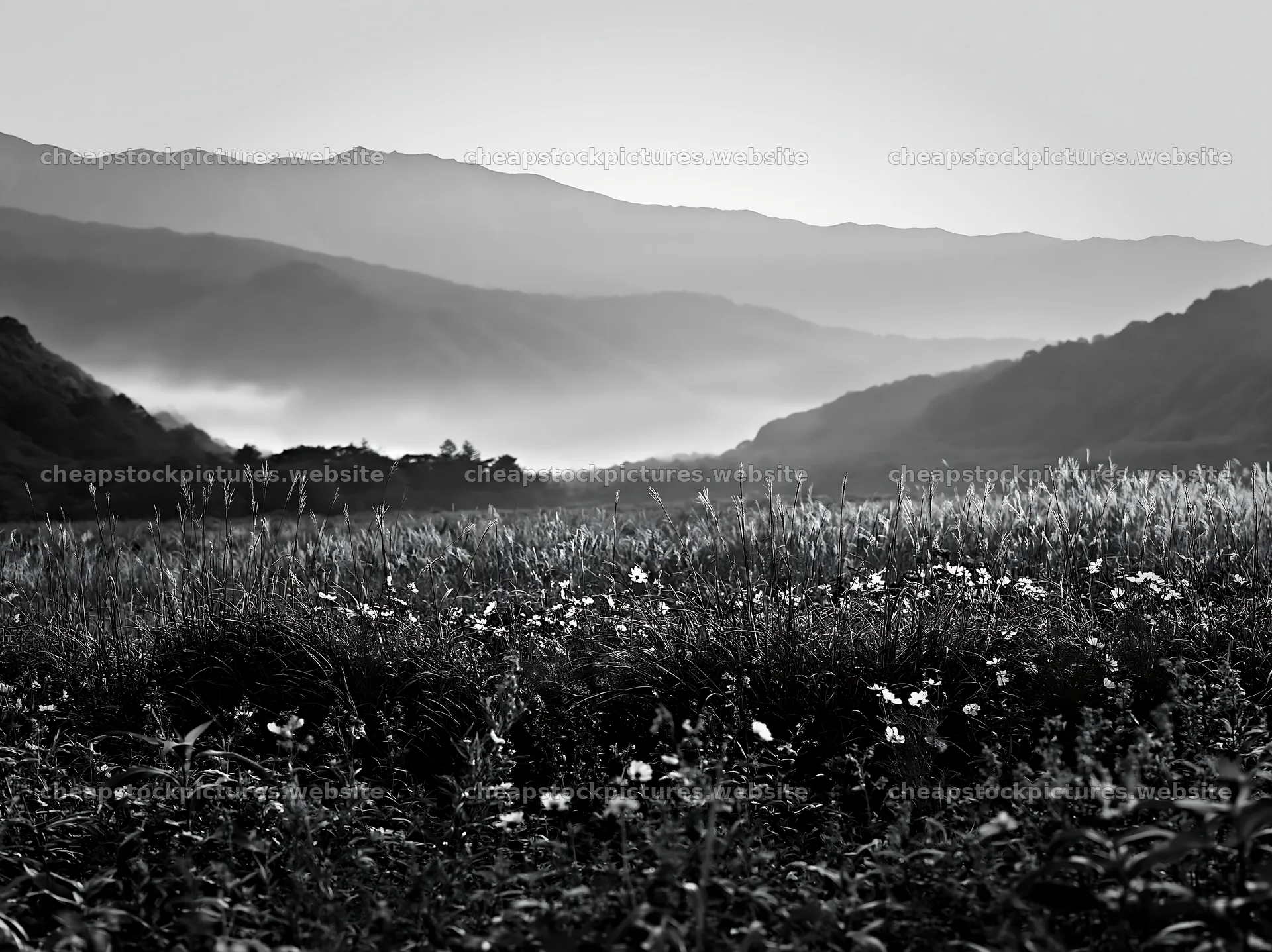 Climate-resilient meadow with mountains and morning mist – stock pictures 9174x6866