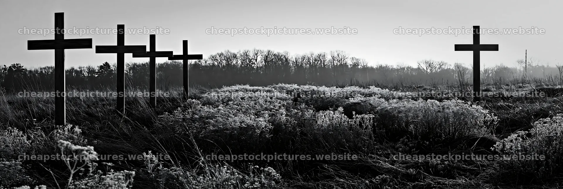 Four Christian crosses in winter meadow – stock pictures 13690x4602