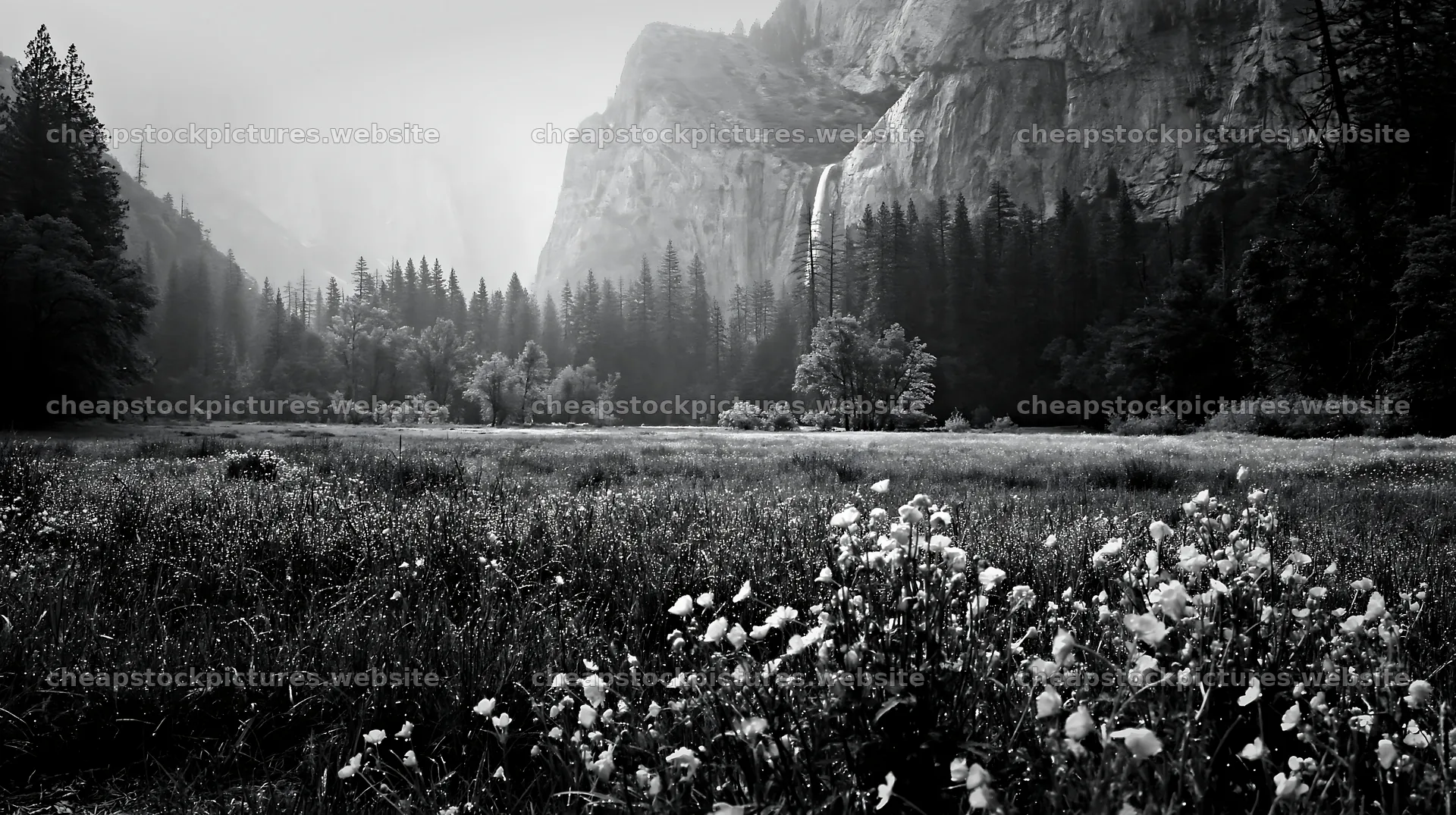 Cascade valley flower meadow with mountains and waterfall – stock pictures 10608x5938
