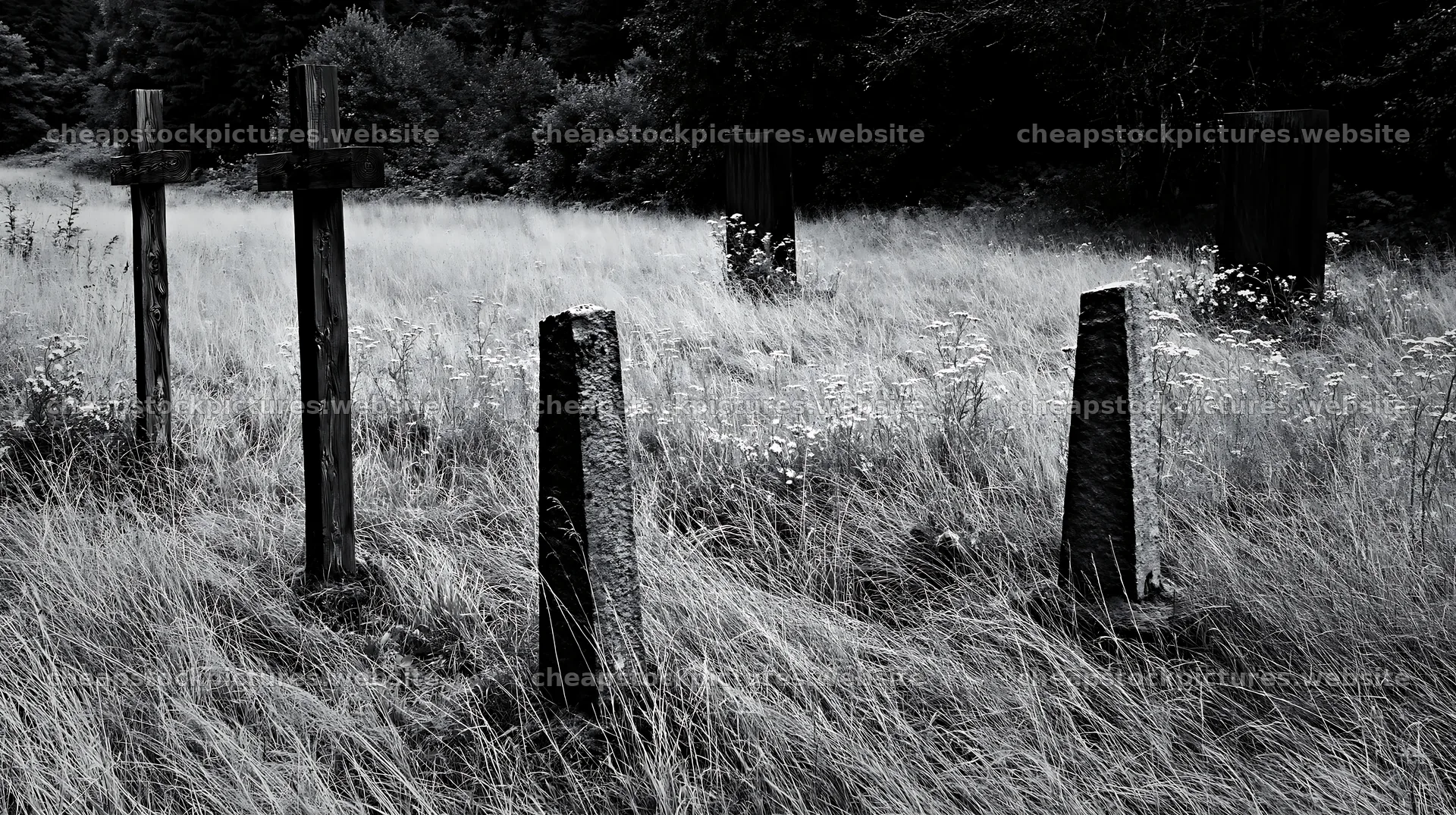 Christian crosses in conservation meadow under cloudy sky – stock pictures 10608x5938