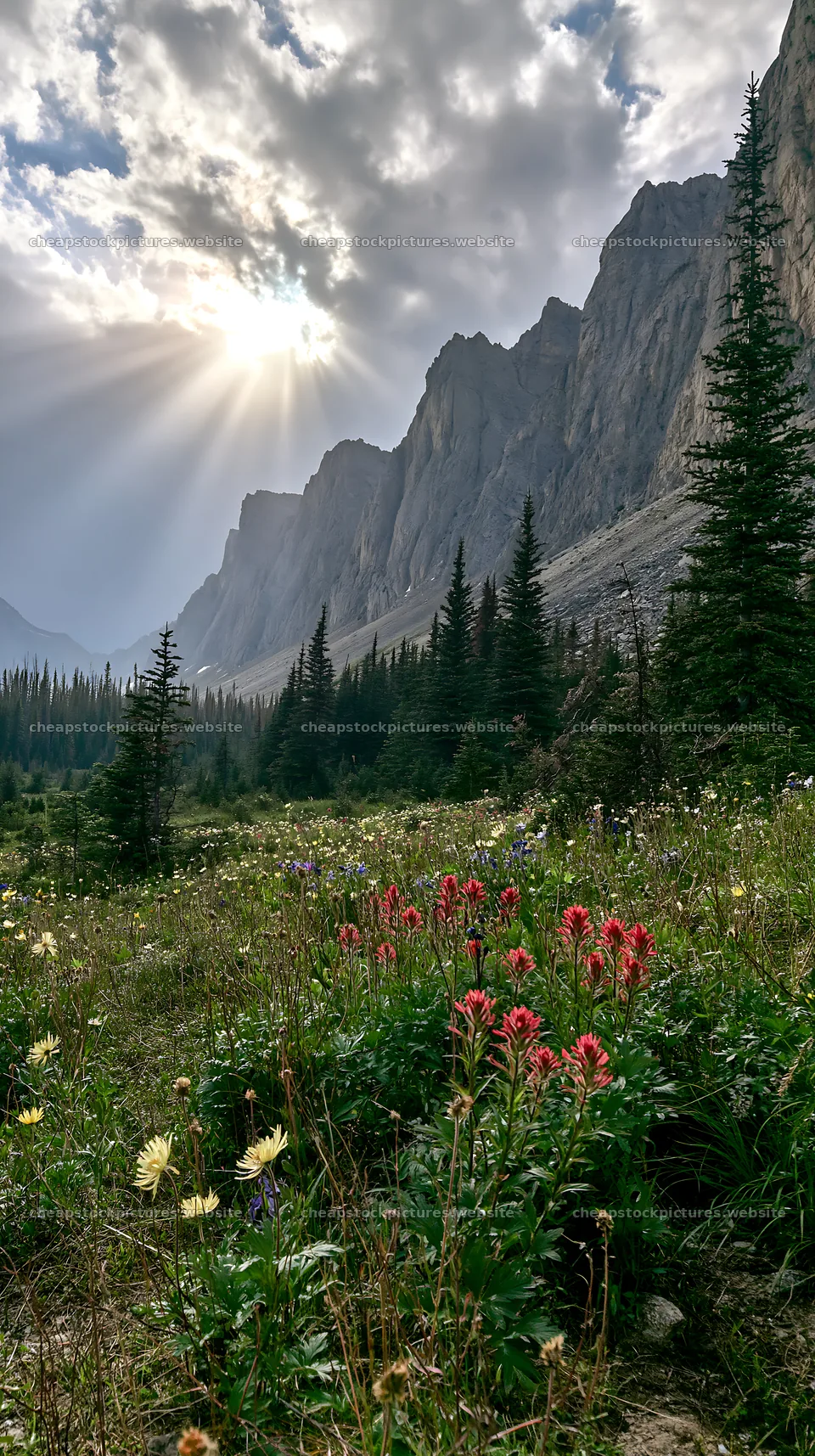 Meadow and crags under a cloudy sky with sun rays – stock pictures 5938x10608
