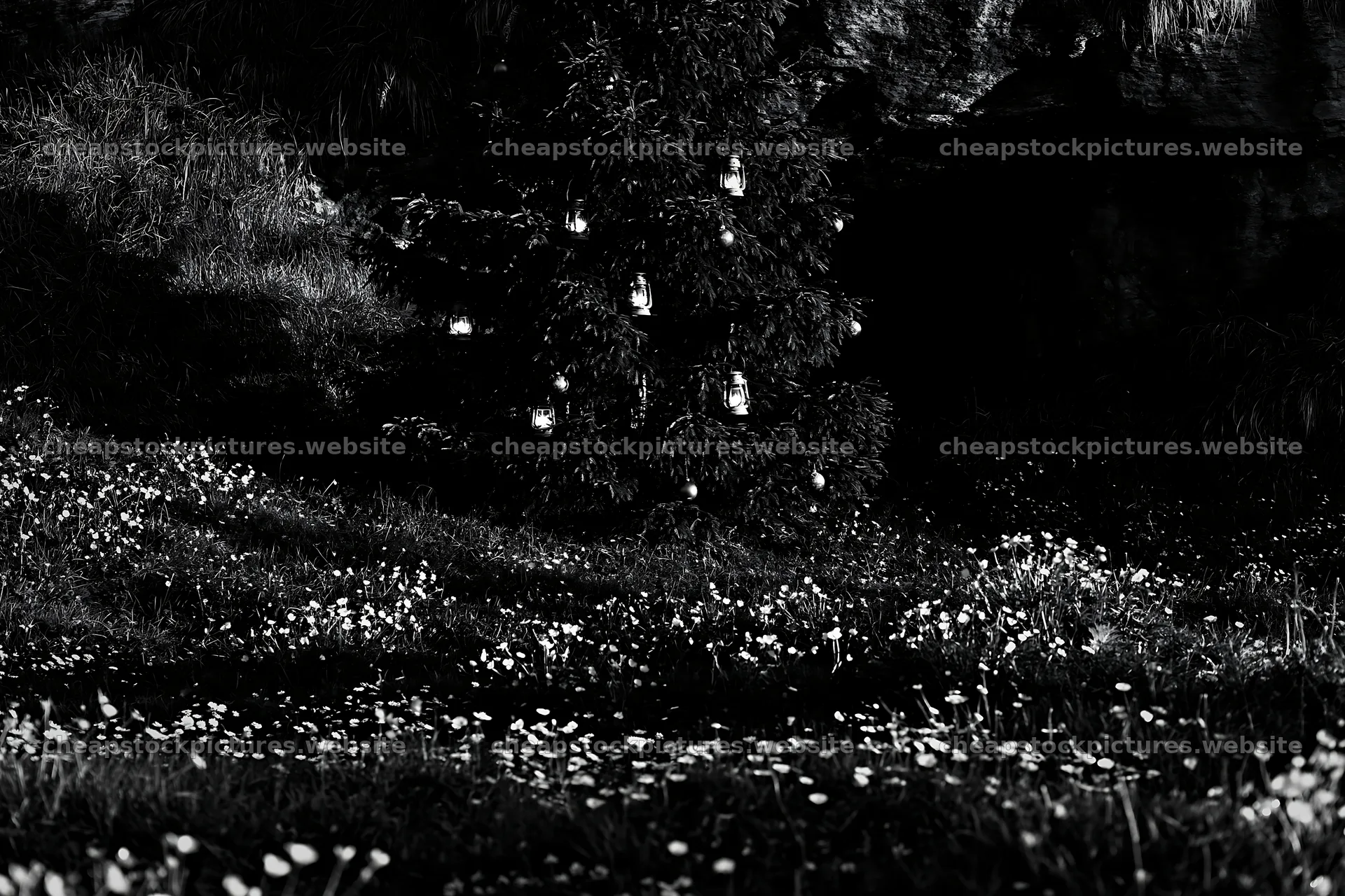Christmas tree with lanterns in meadow by cave – stock pictures 9722x6480