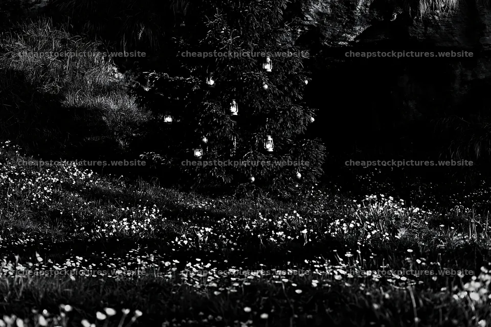 Christmas tree with lanterns in meadow by cave – stock pictures 9722x6480