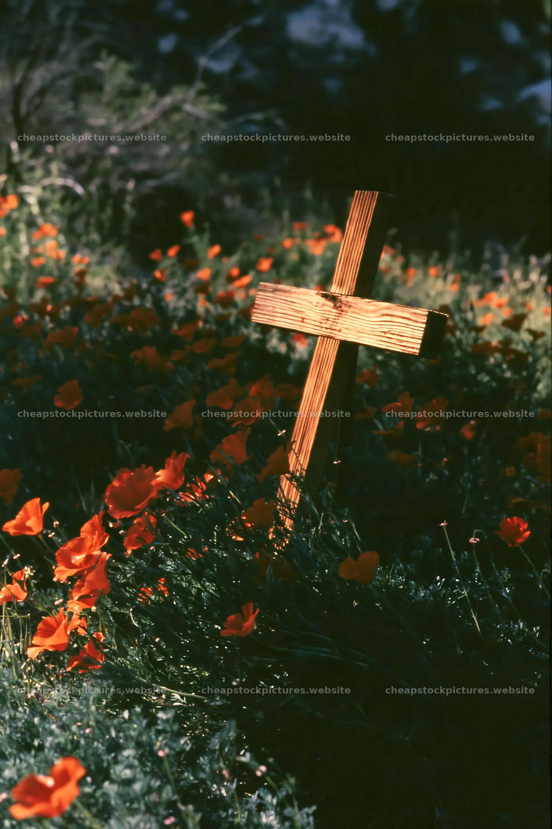 Wooden Christian cross in mountain meadow with poppy flowers – stock pictures 6480x9722