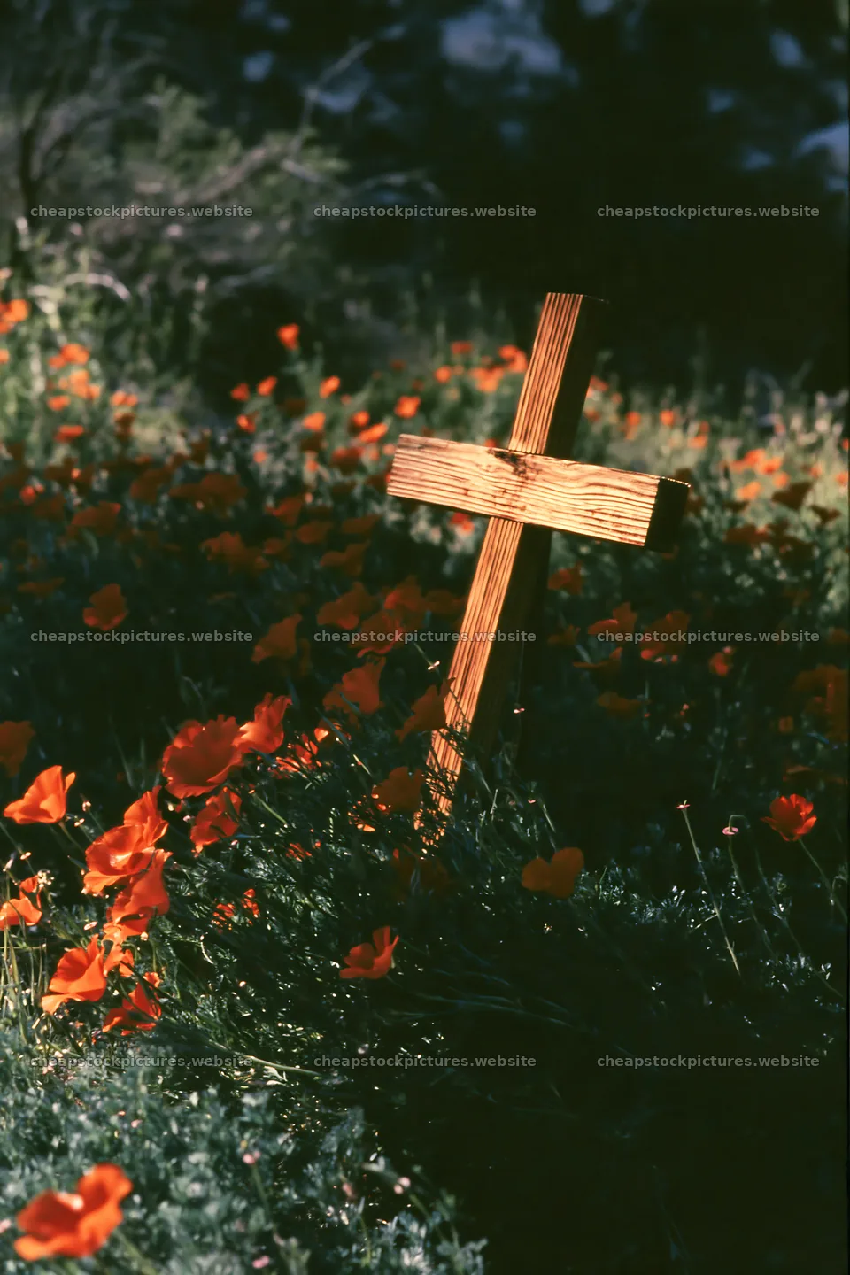 Wooden Christian cross in mountain meadow with poppy flowers – stock pictures 6480x9722