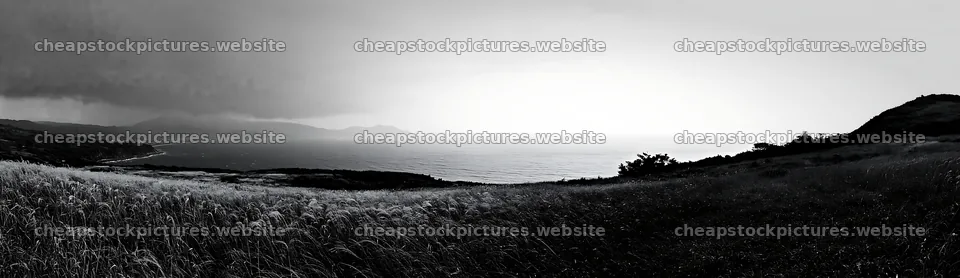 Shizuoka seasonal meadow after heavy rain – stock pictures 14762x4268