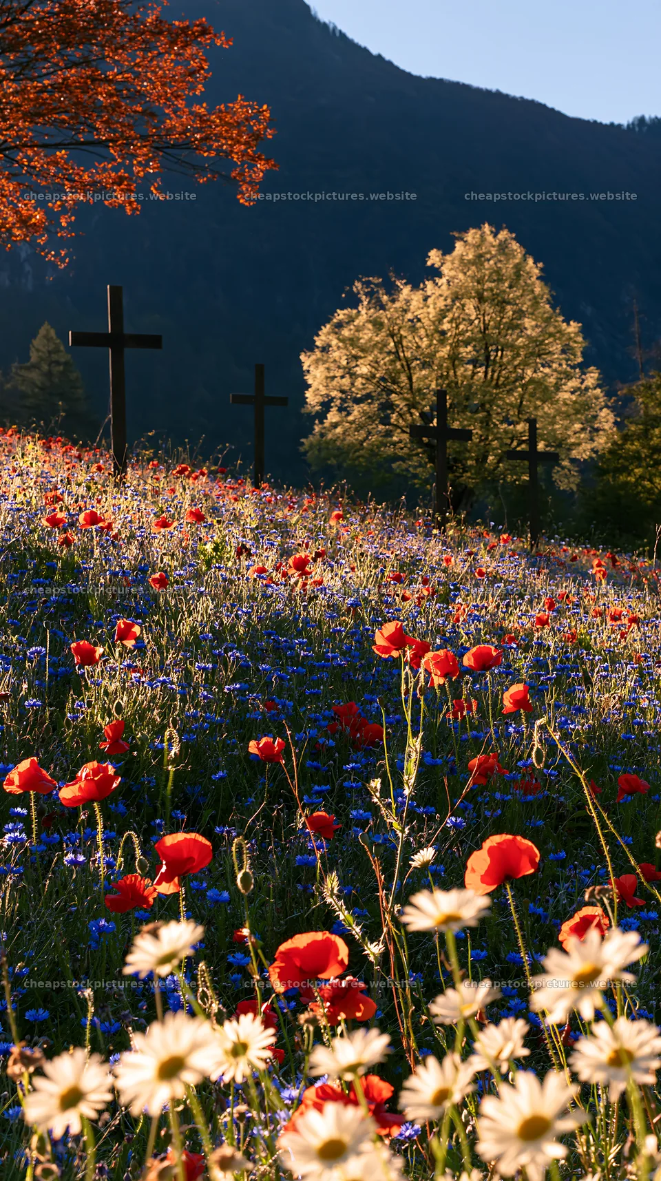 Four Christian crosses in Advent meadow with flowers – stock pictures 5938x10608