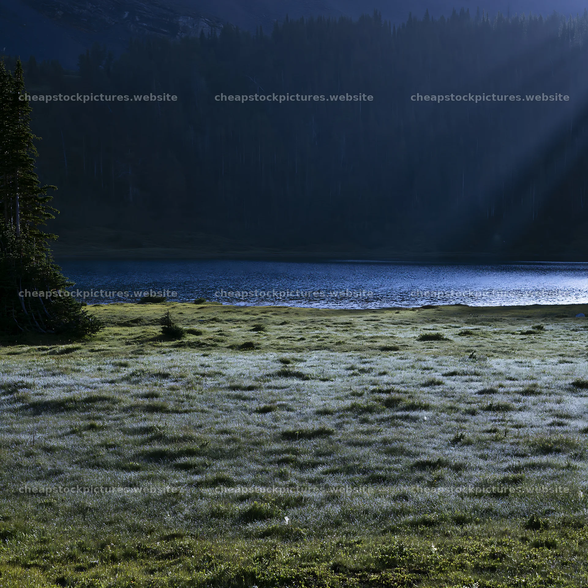 Sunshine rays over meadows near Banff at dawn – stock pictures 7938x7938