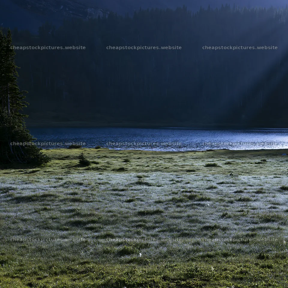 Sunshine rays over meadows near Banff at dawn – stock pictures 7938x7938