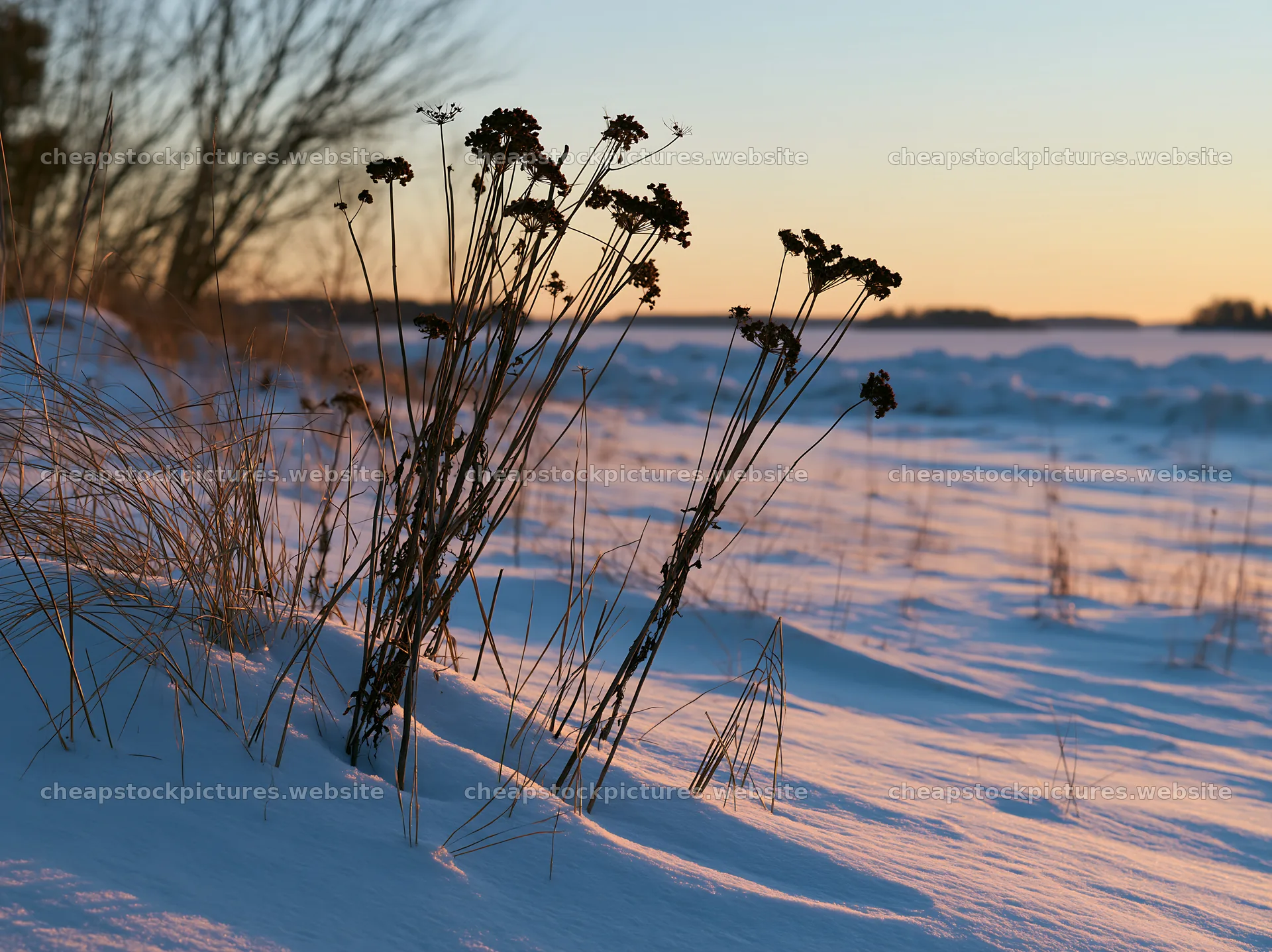 Dune meadow covered in snow during sunset – stock pictures 9174x6866
