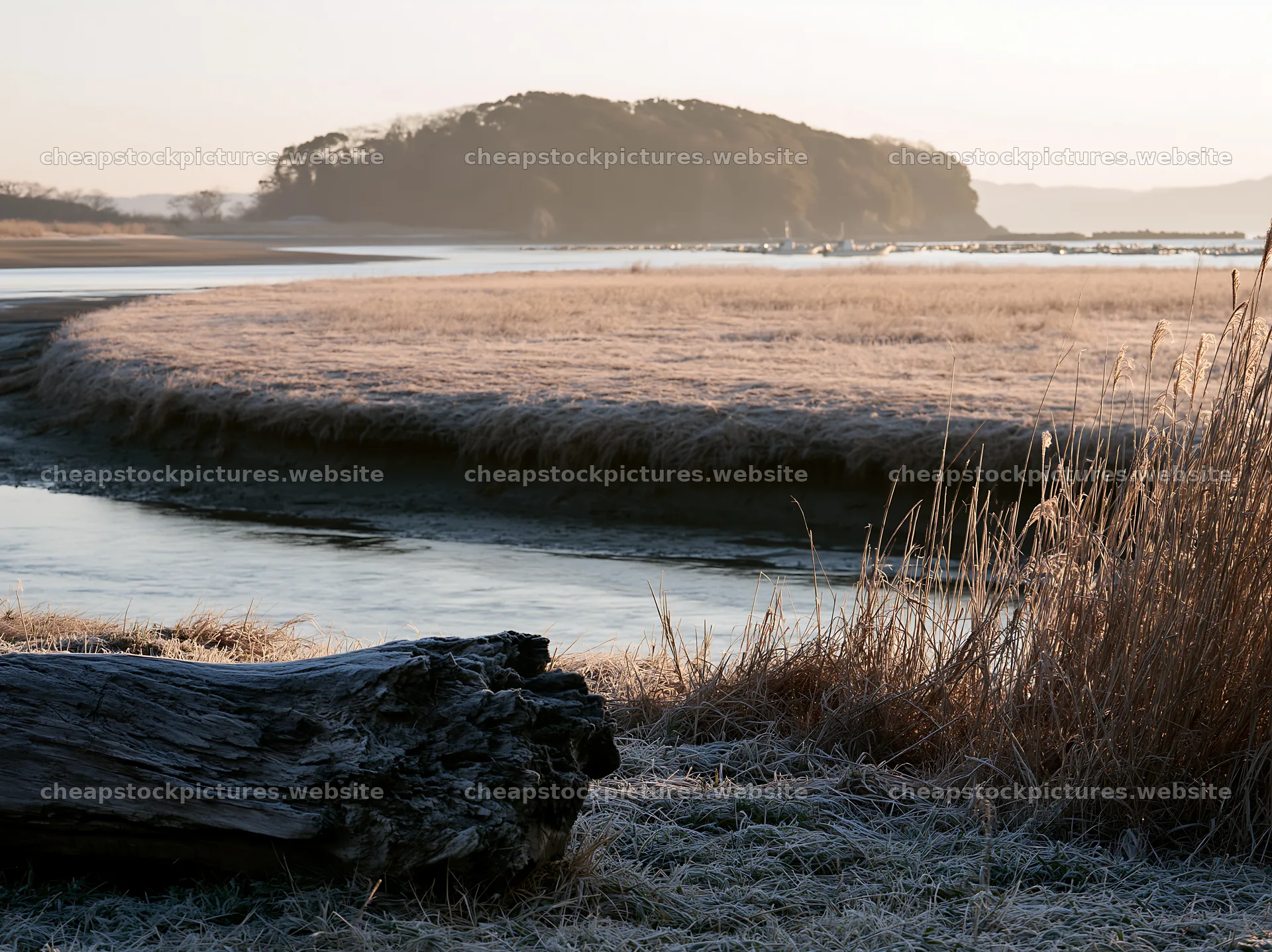 Nagasaki coastal meadow driftwood foreground mood – stock pictures 9174x6866