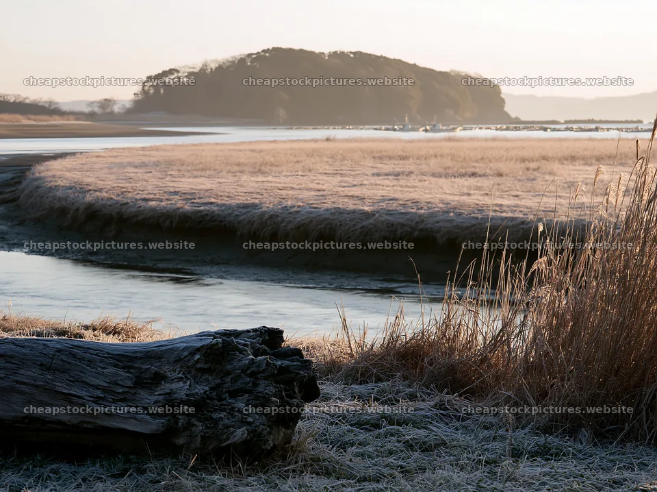 Nagasaki coastal meadow driftwood foreground mood – stock pictures 9174x6866