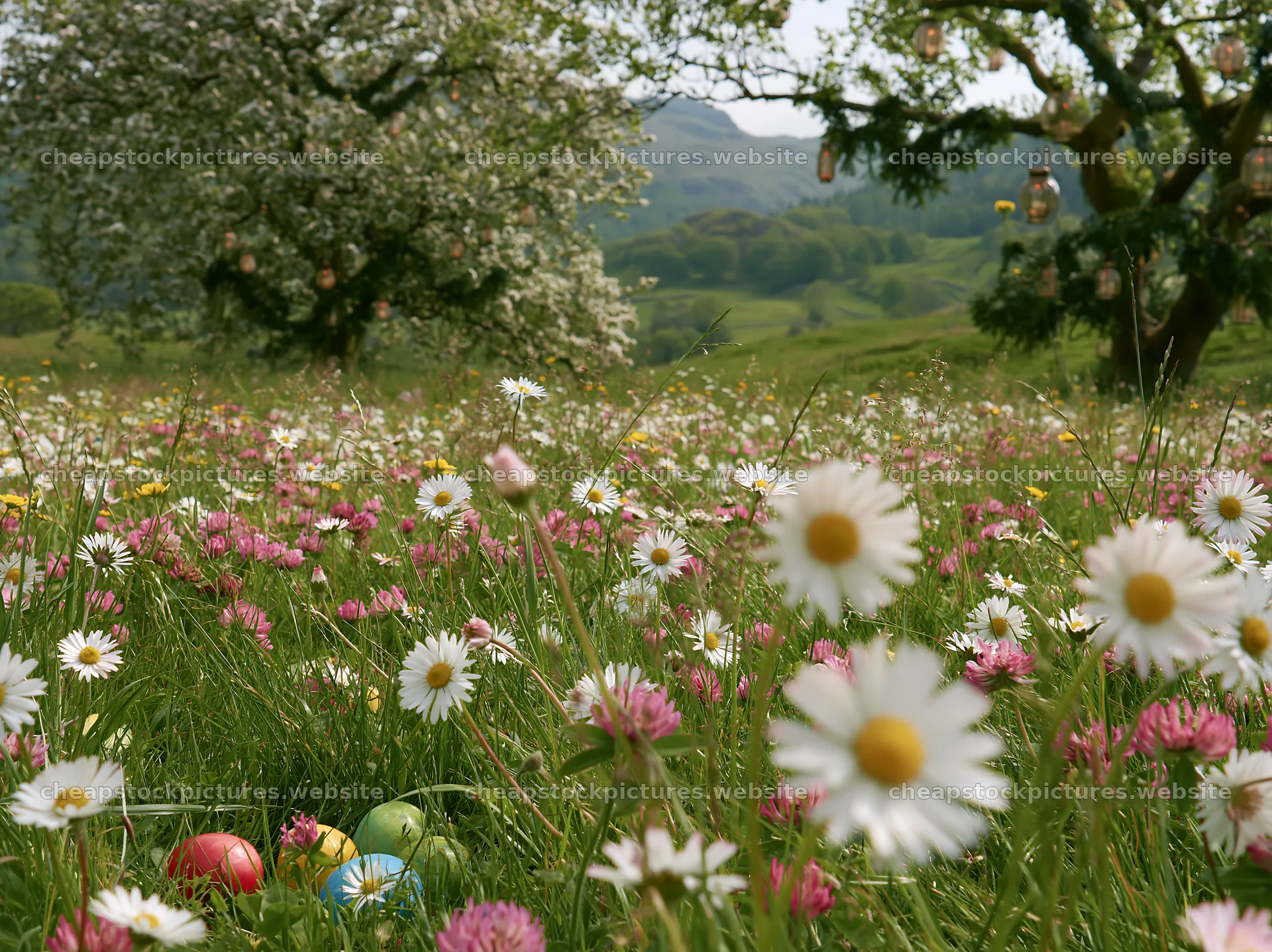 Apple tree meadow with flowers and lanterns in Lake District – stock pictures 9174x6866