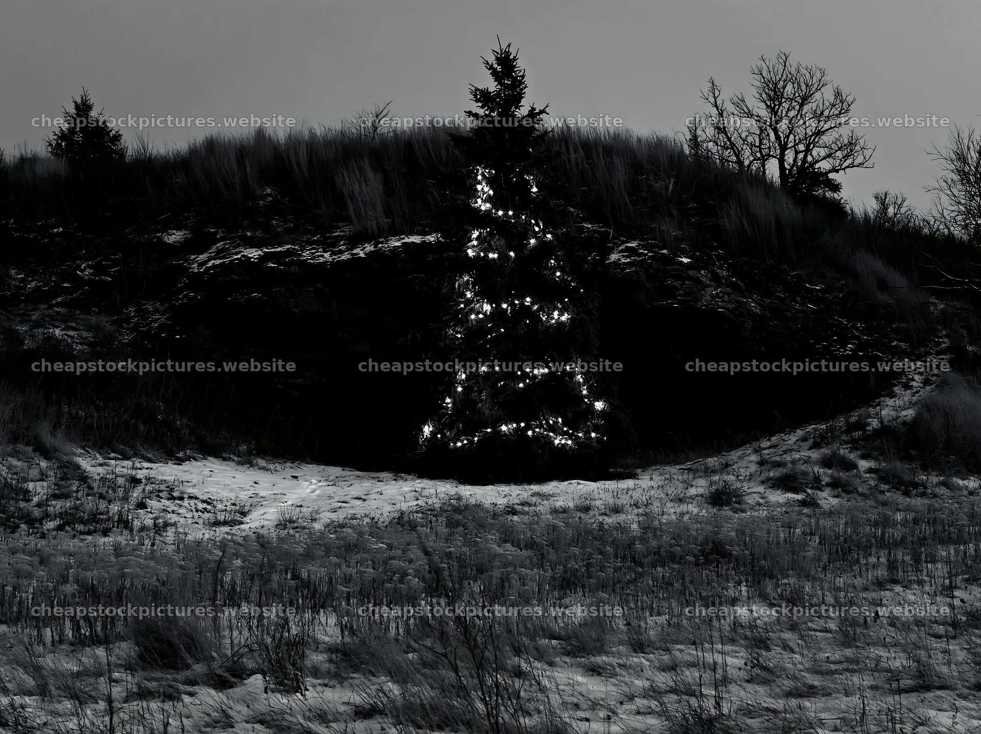 Christmas tree near cave in snowy meadow – stock pictures 9174x6866