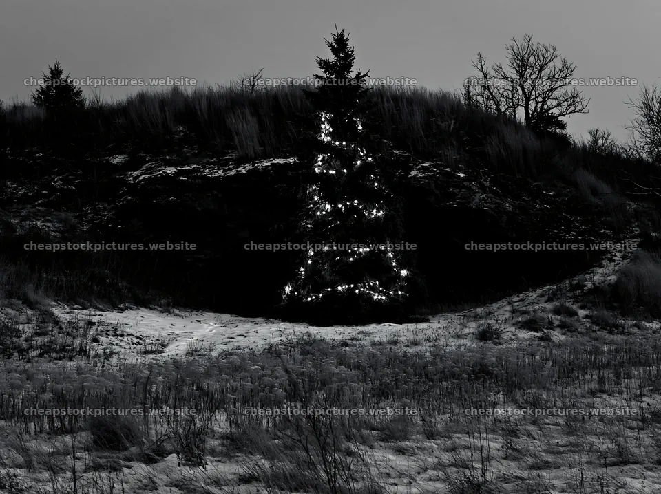 Christmas tree near cave in snowy meadow – stock pictures 9174x6866