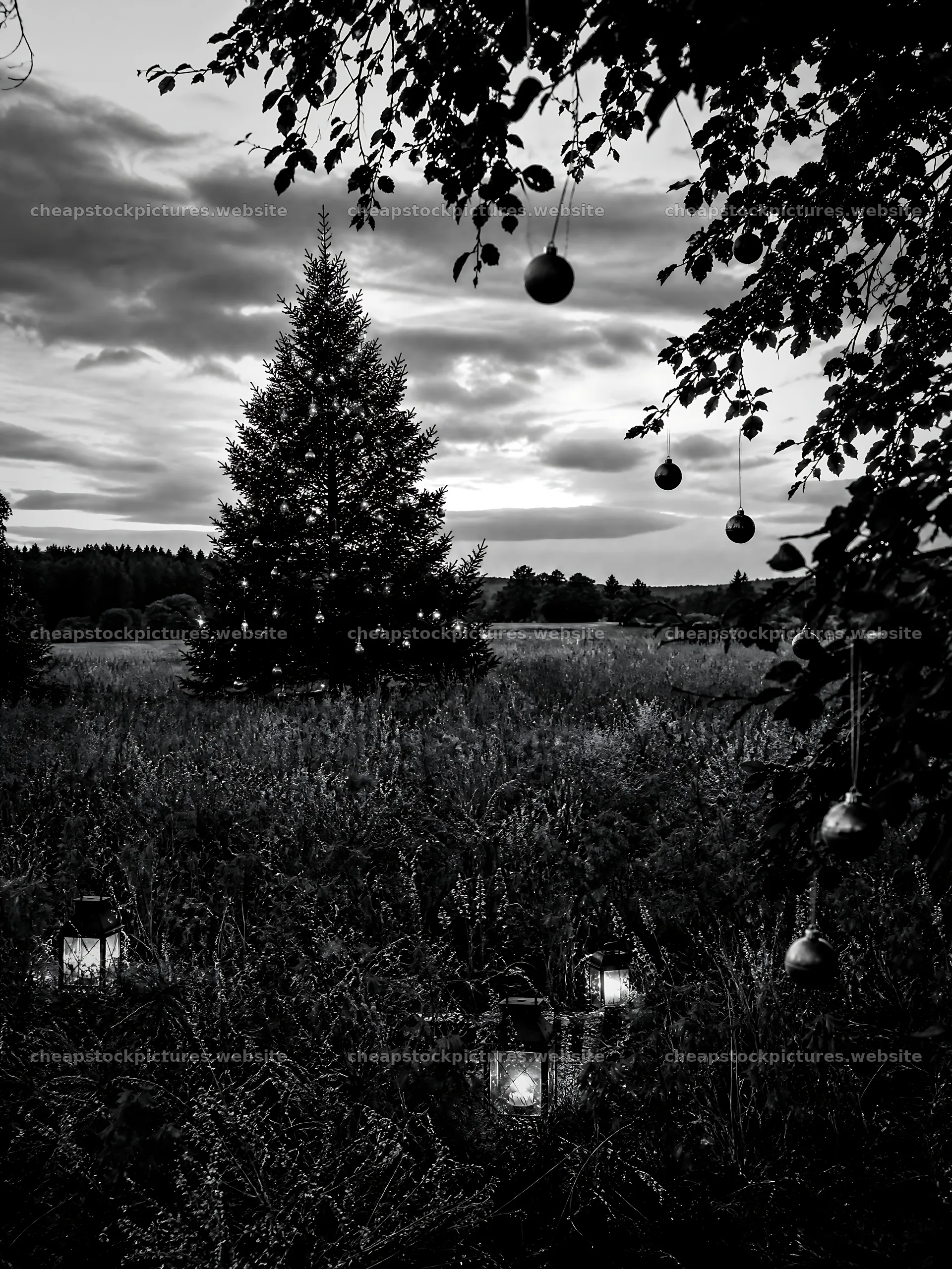 Vibrant Christmas tree at dusk in a meadow with lanterns – stock pictures 6874x9166