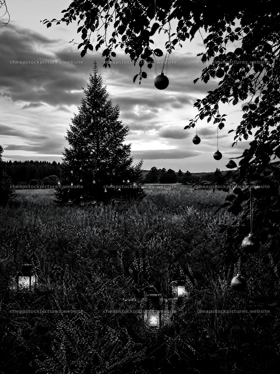 Vibrant Christmas tree at dusk in a meadow with lanterns – stock pictures 6874x9166