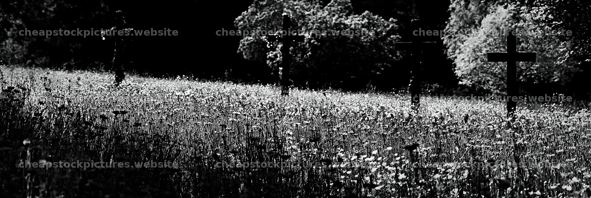 Four Christian crosses in meadow background – stock pictures 13690x4602