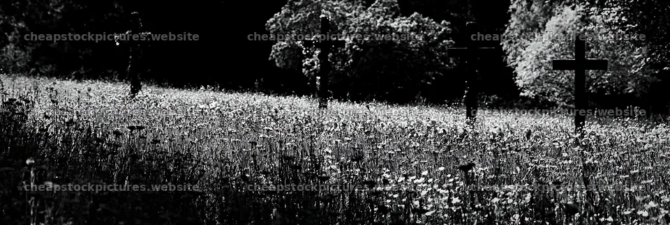 Four Christian crosses in meadow background – stock pictures 13690x4602