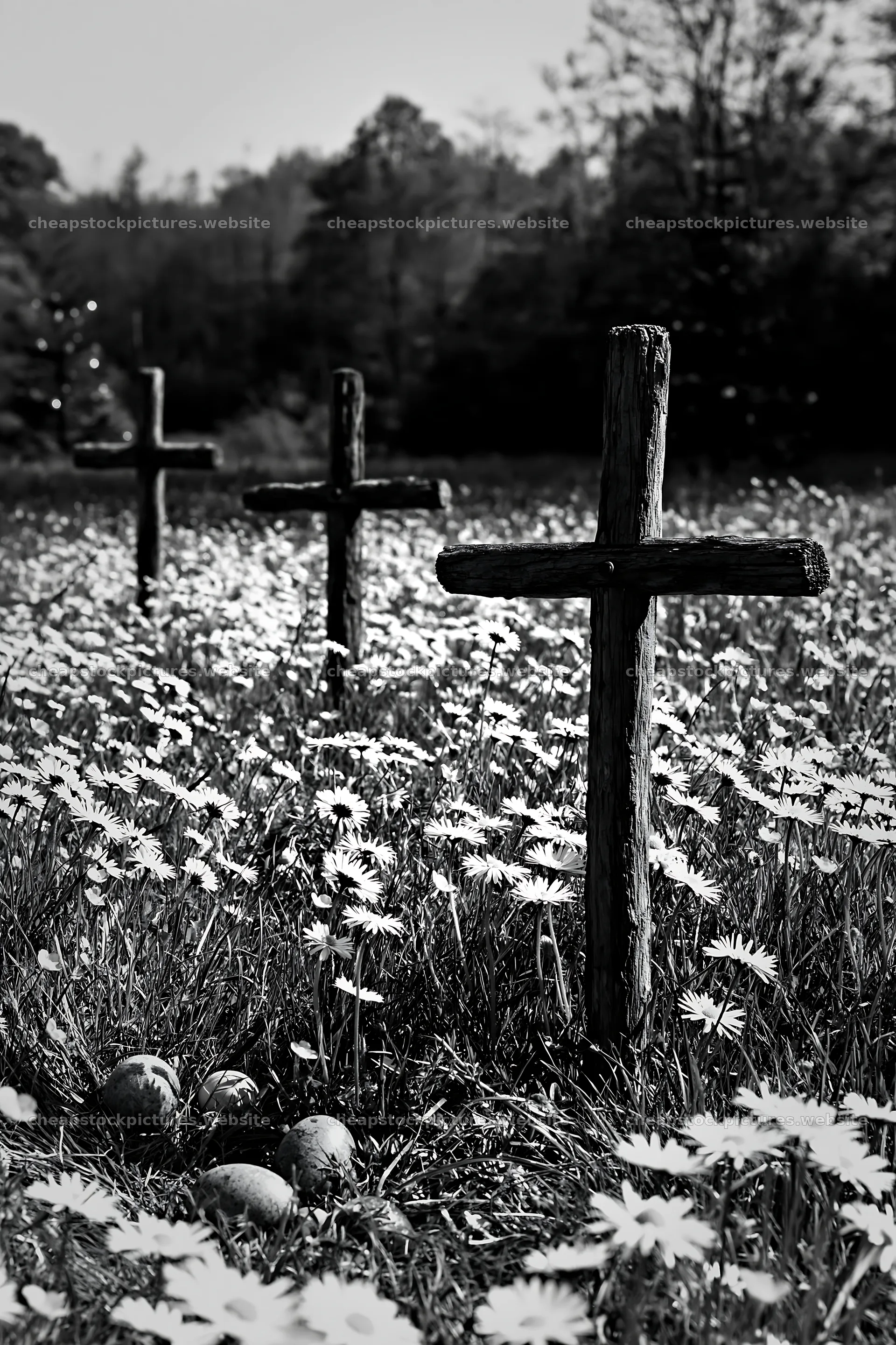 Three wooden crosses in a meadow of daisies – stock pictures 6480x9722