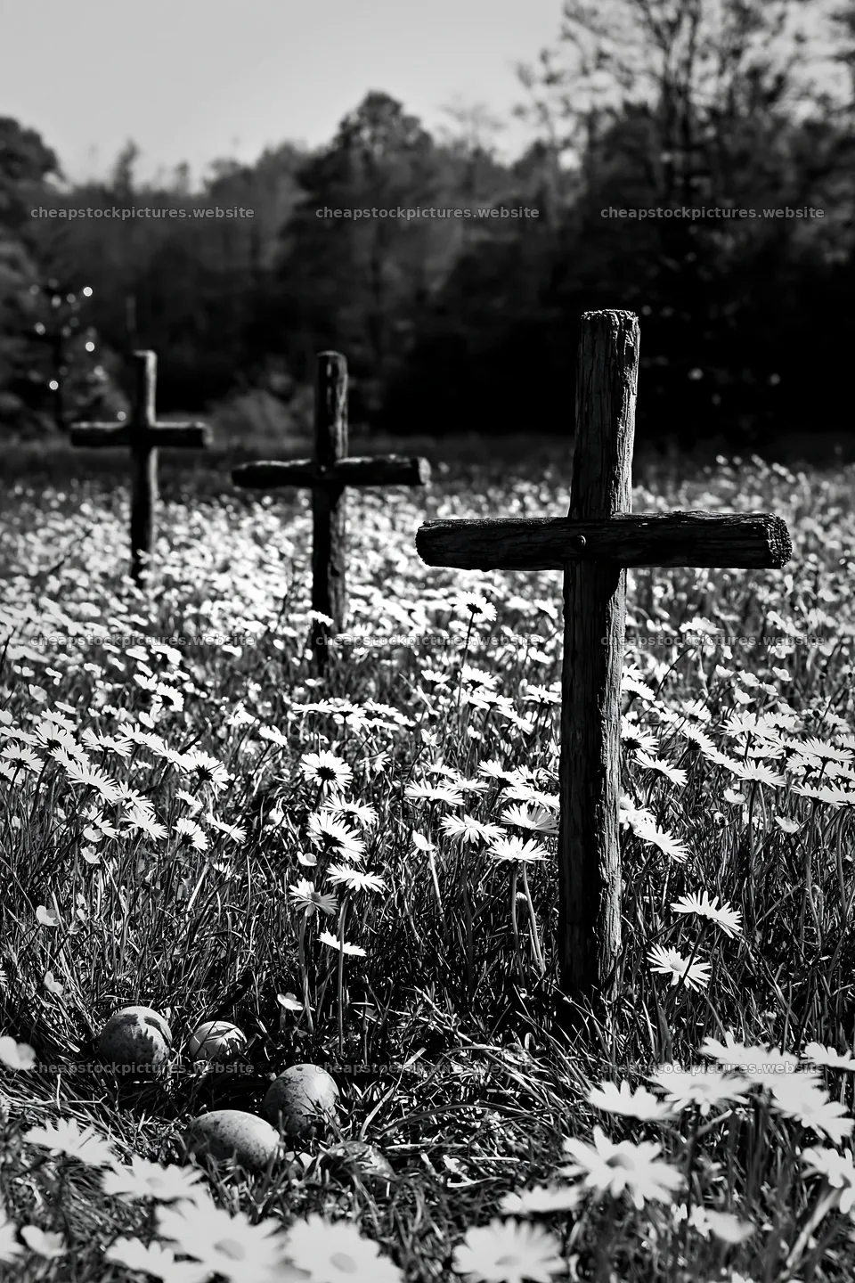 Three wooden crosses in a meadow of daisies – stock pictures 6480x9722