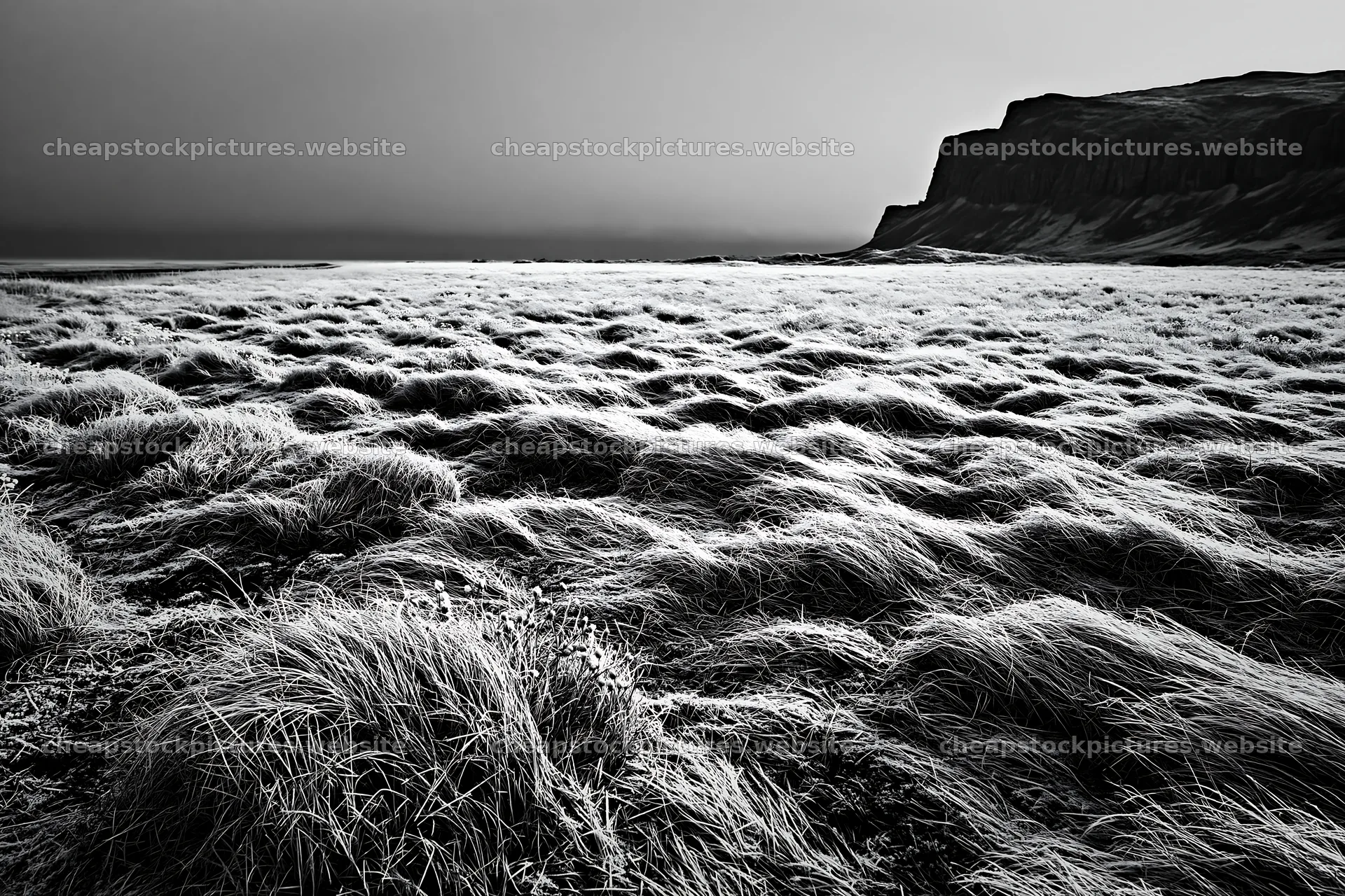 Frosty coastal meadow with grass and cliffs in the background – stock pictures 9722x6480