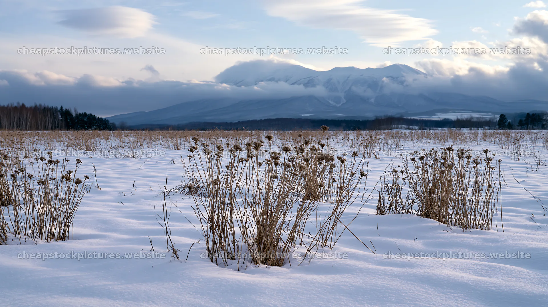 Snow covered hills in Biei with a view of distant mountains – stock pictures 10608x5938