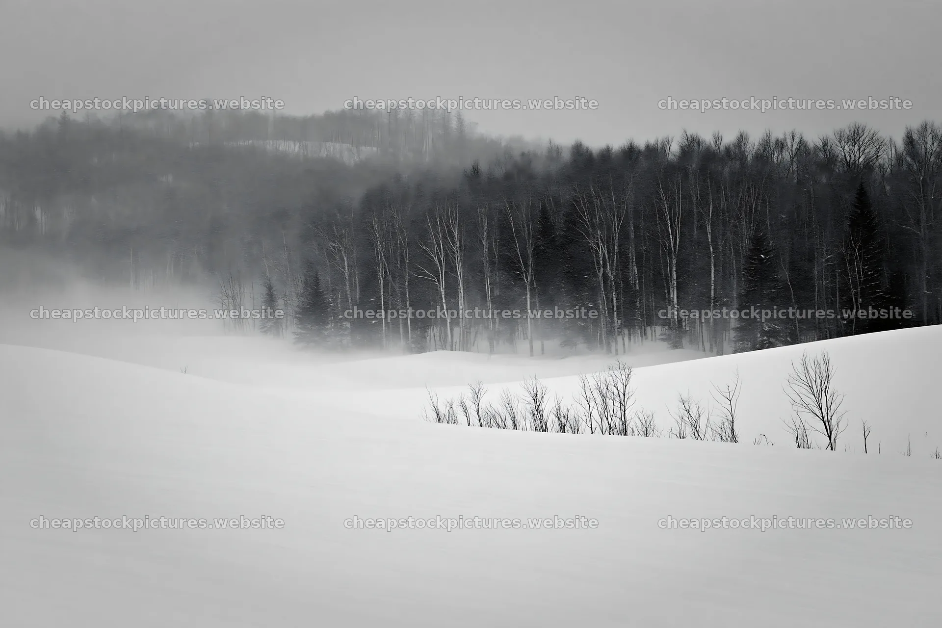 Snow covered Biei hills meadow in winter fog – stock pictures 9722x6480