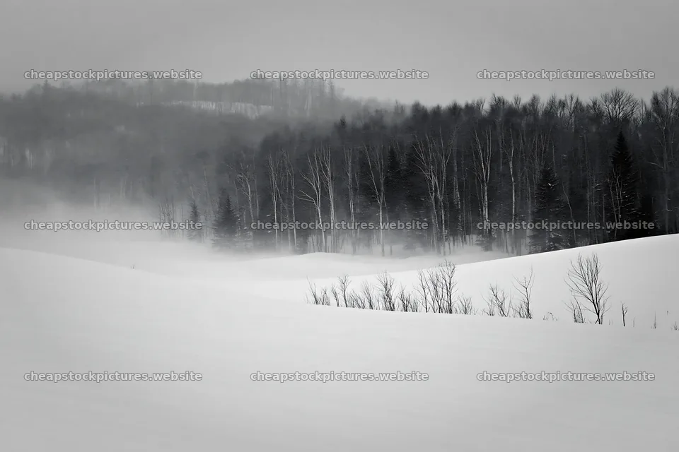 Snow covered Biei hills meadow in winter fog – stock pictures 9722x6480