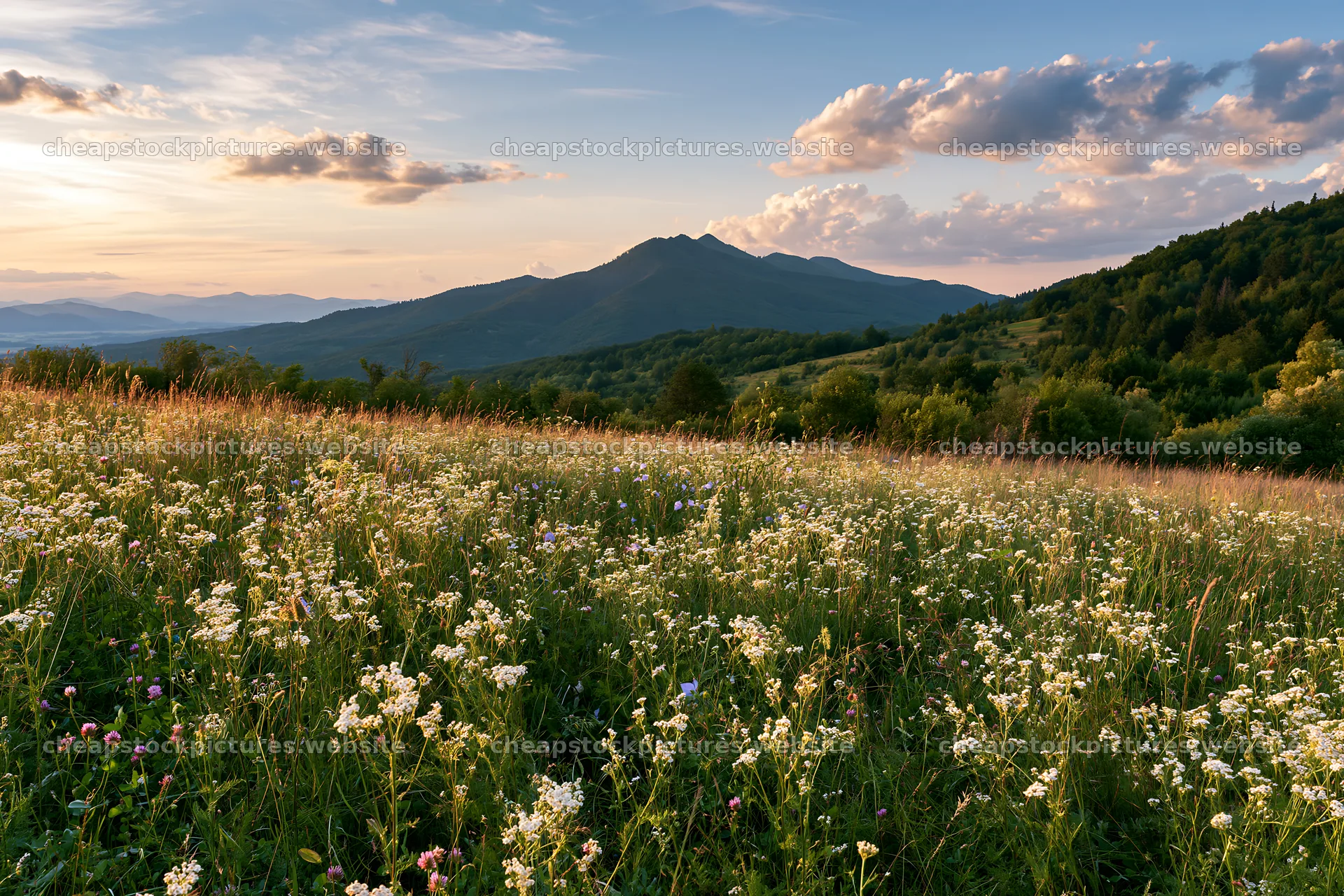 Slovak meadow in Carpathian valley during sunset – stock pictures 9722x6480