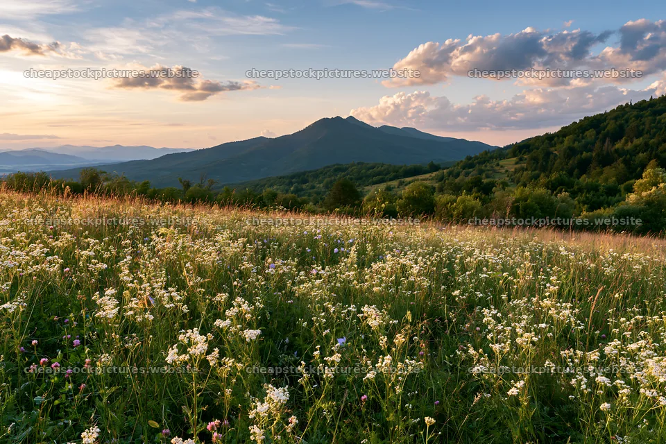 Slovak meadow in Carpathian valley during sunset – stock pictures 9722x6480