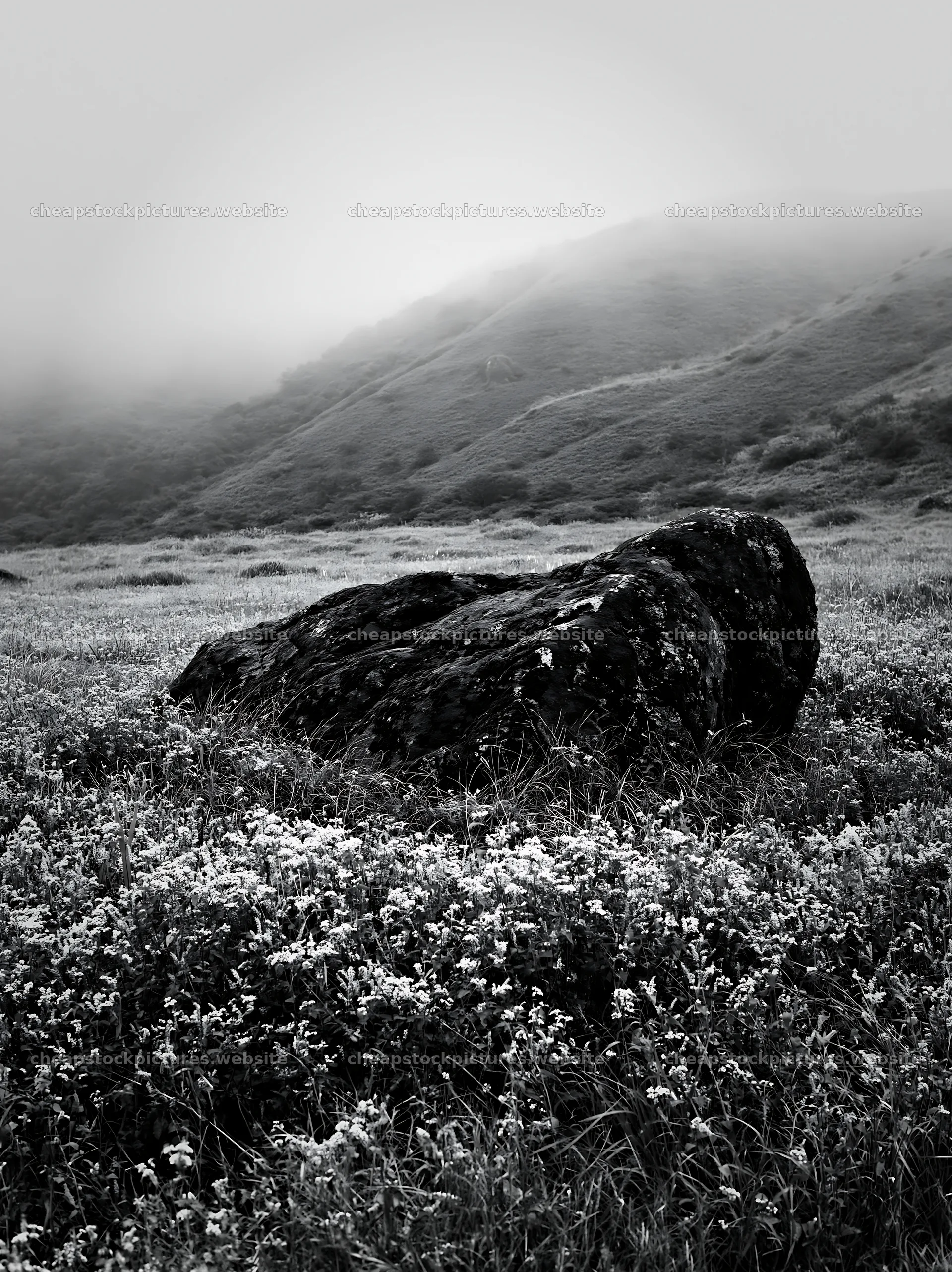 Moss covered stone in misty meadow of Shimane – stock pictures 6866x9174