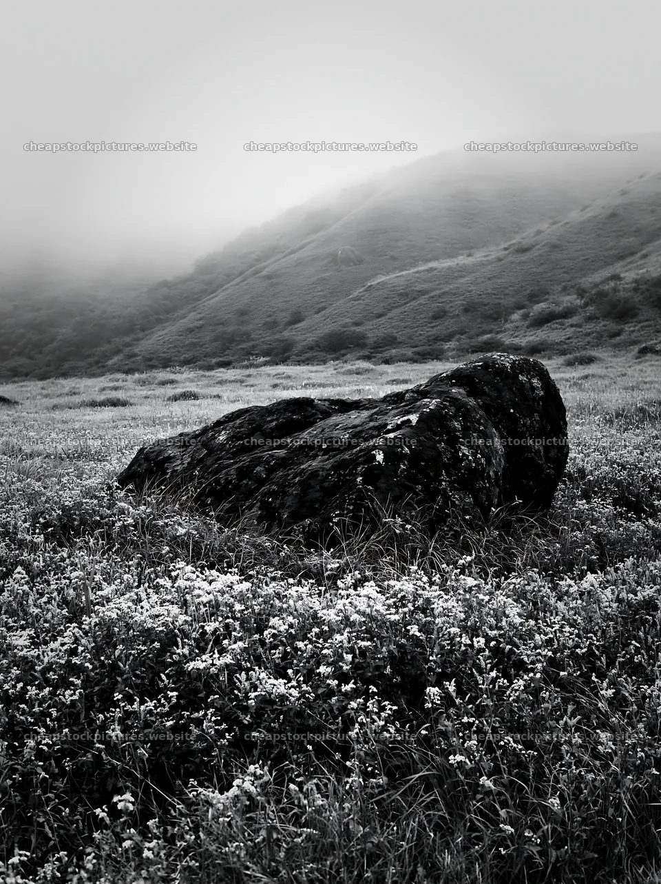 Moss covered stone in misty meadow of Shimane – stock pictures 6866x9174