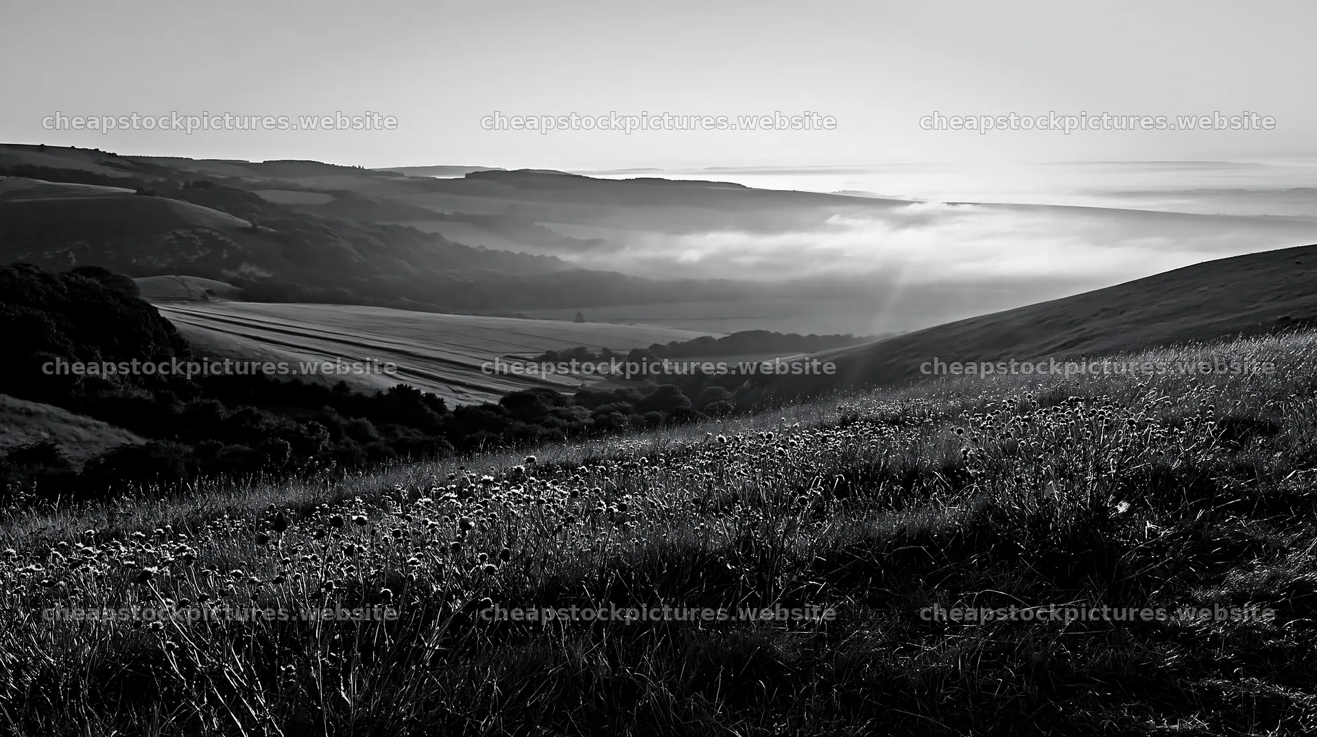 Sunny chalk meadow landscape with hills and fog – stock pictures 10608x5938