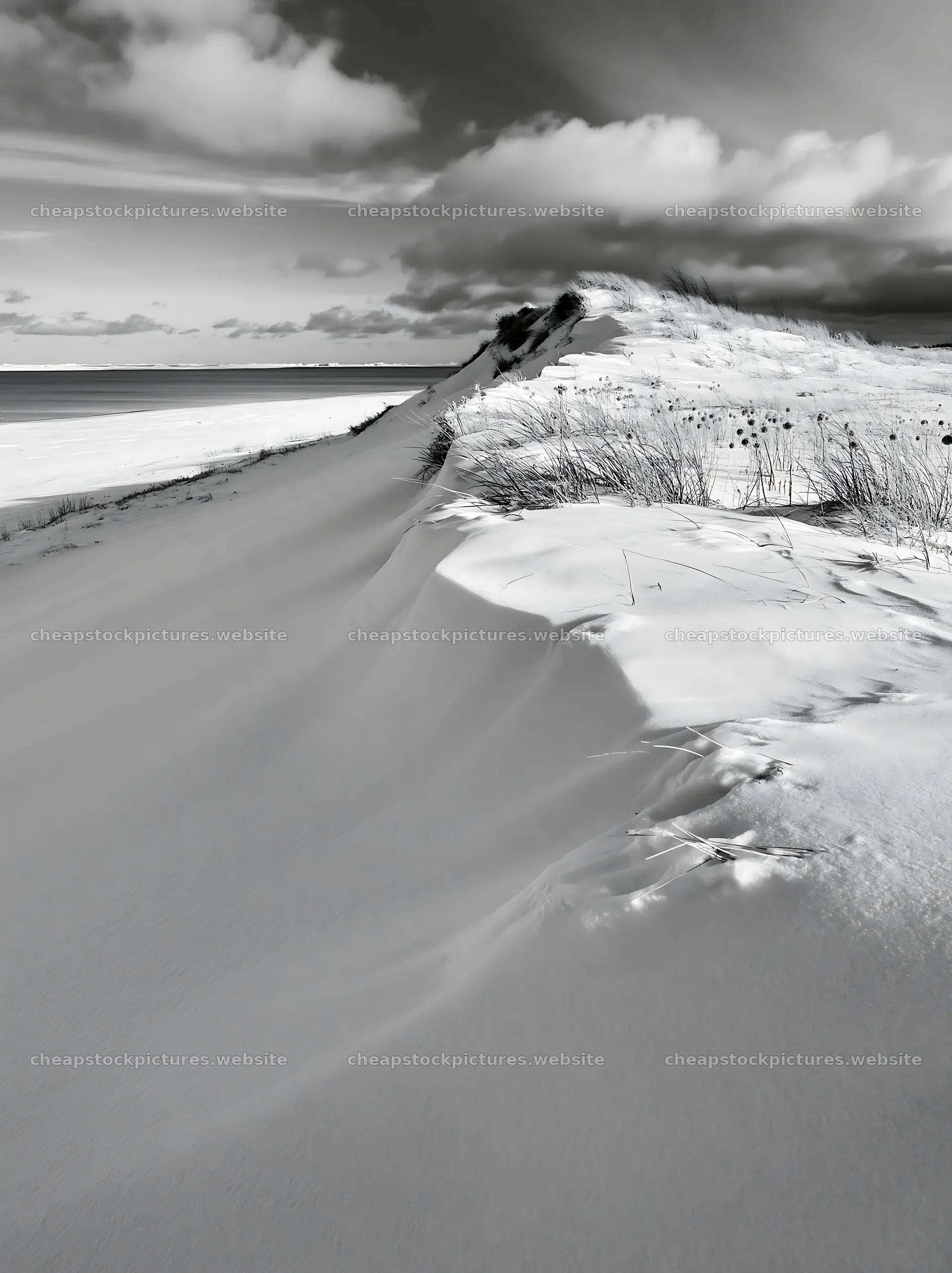 Dune meadow covered in snow by the ocean – stock pictures 6866x9174