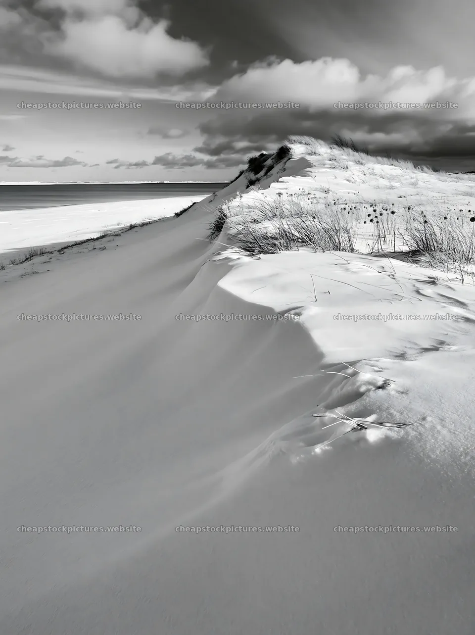 Dune meadow covered in snow by the ocean – stock pictures 6866x9174